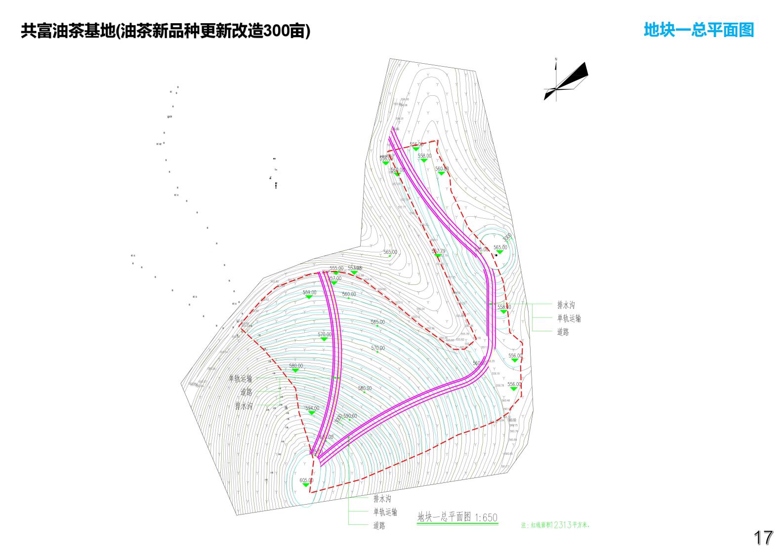 图片[22]-衢州常山共富油茶乡村振兴试点方案 - 由甫网-由甫网