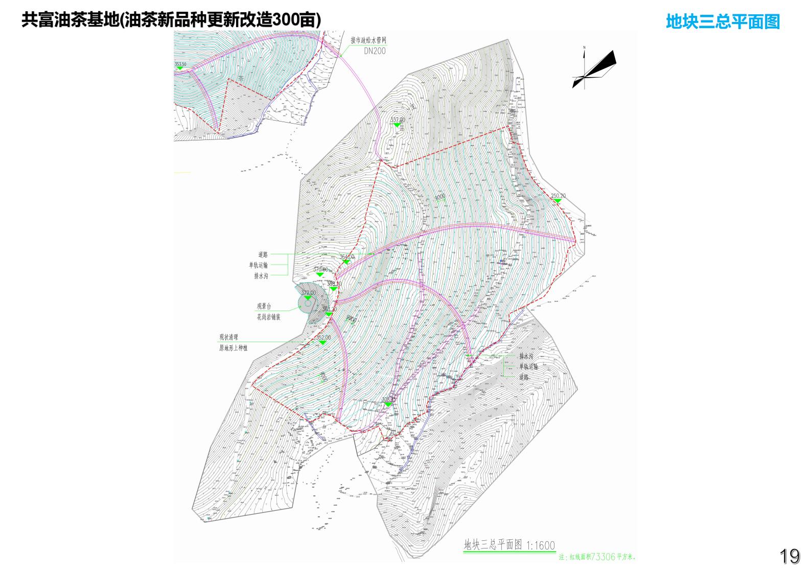 图片[24]-衢州常山共富油茶乡村振兴试点方案 - 由甫网-由甫网