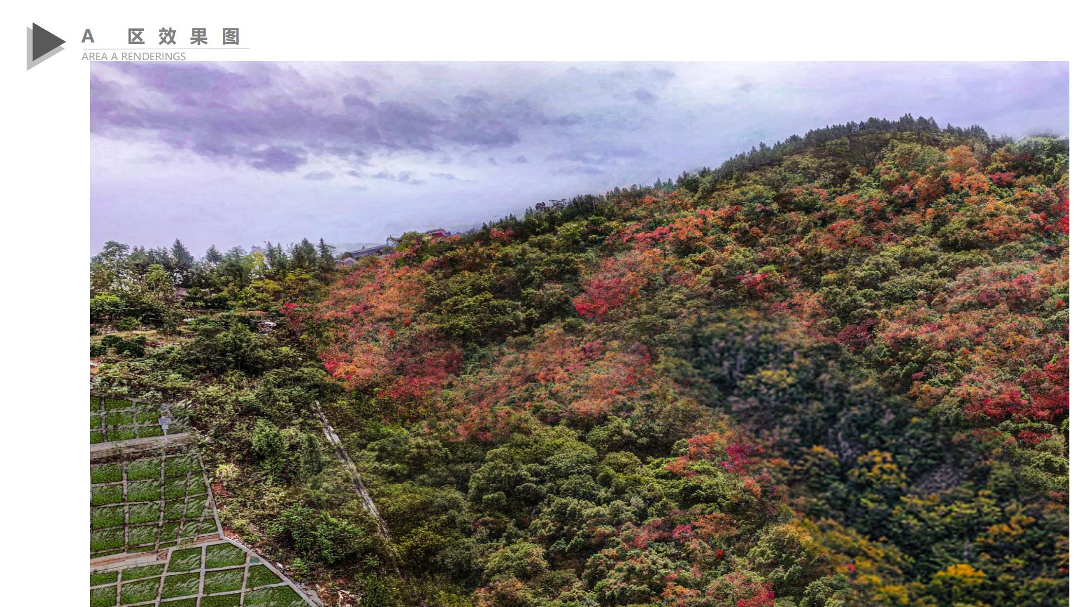 图片[346]-巫山县龙江片区乡村振兴项目方案 - 由甫网-由甫网