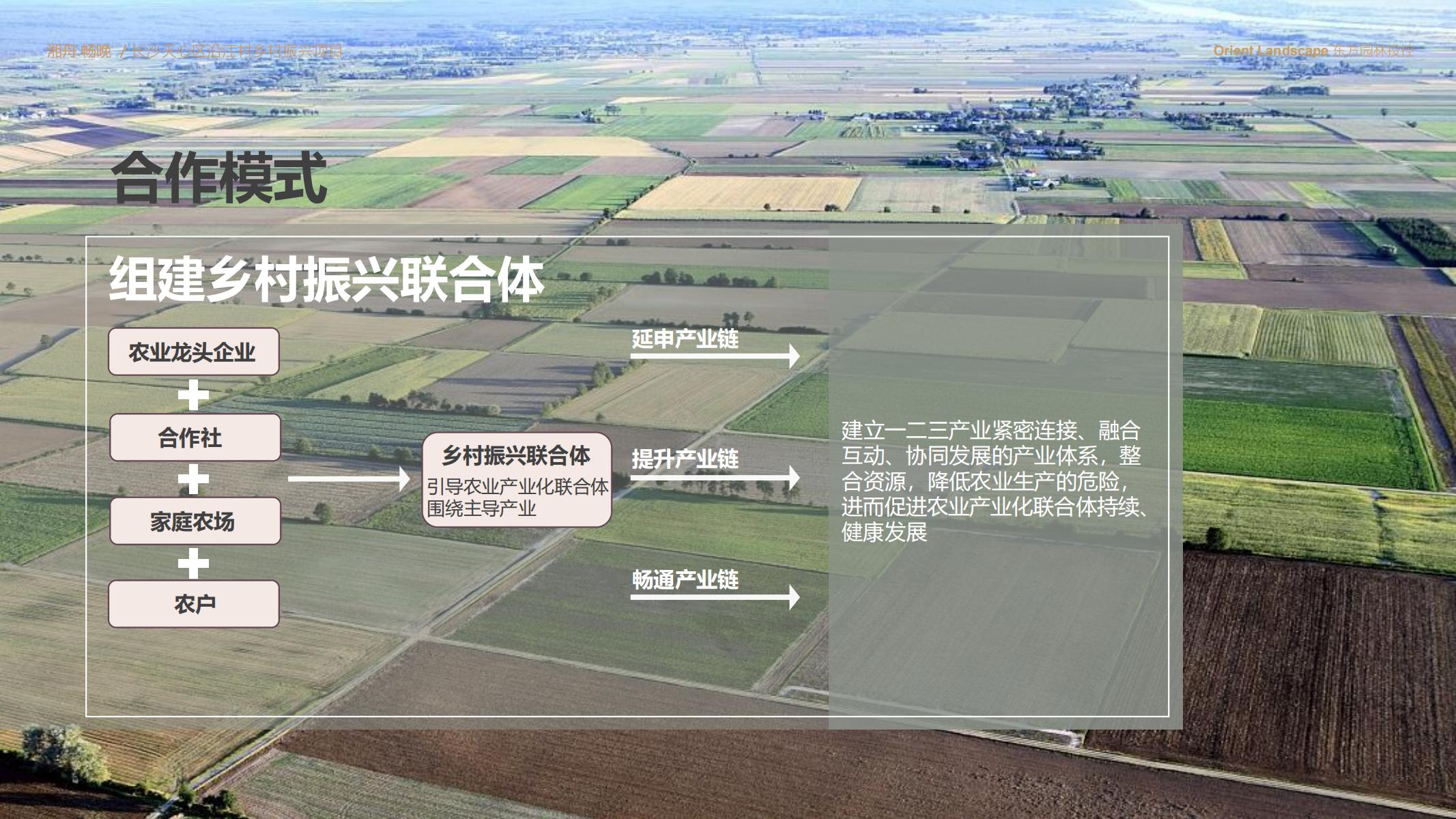 图片[85]-长沙天心区乡村振兴运营策划方案文本 - 由甫网-由甫网