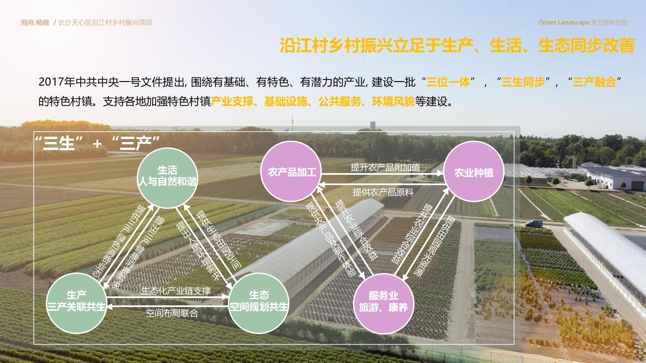 图片[15]-长沙天心区乡村振兴运营策划方案文本 - 由甫网-由甫网