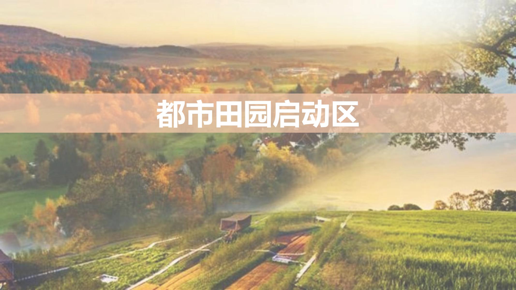 长沙天心区乡村振兴运营策划方案文本 - 由甫网-由甫网
