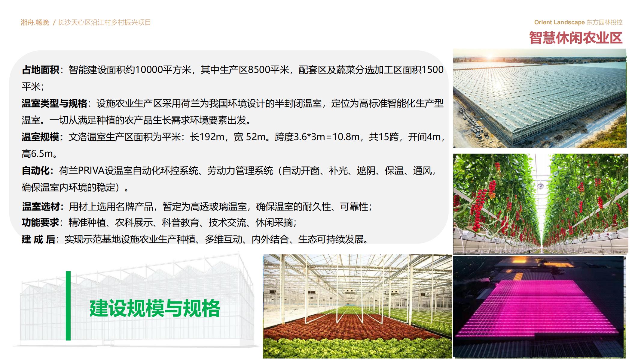 图片[32]-长沙天心区乡村振兴运营策划方案文本 - 由甫网-由甫网