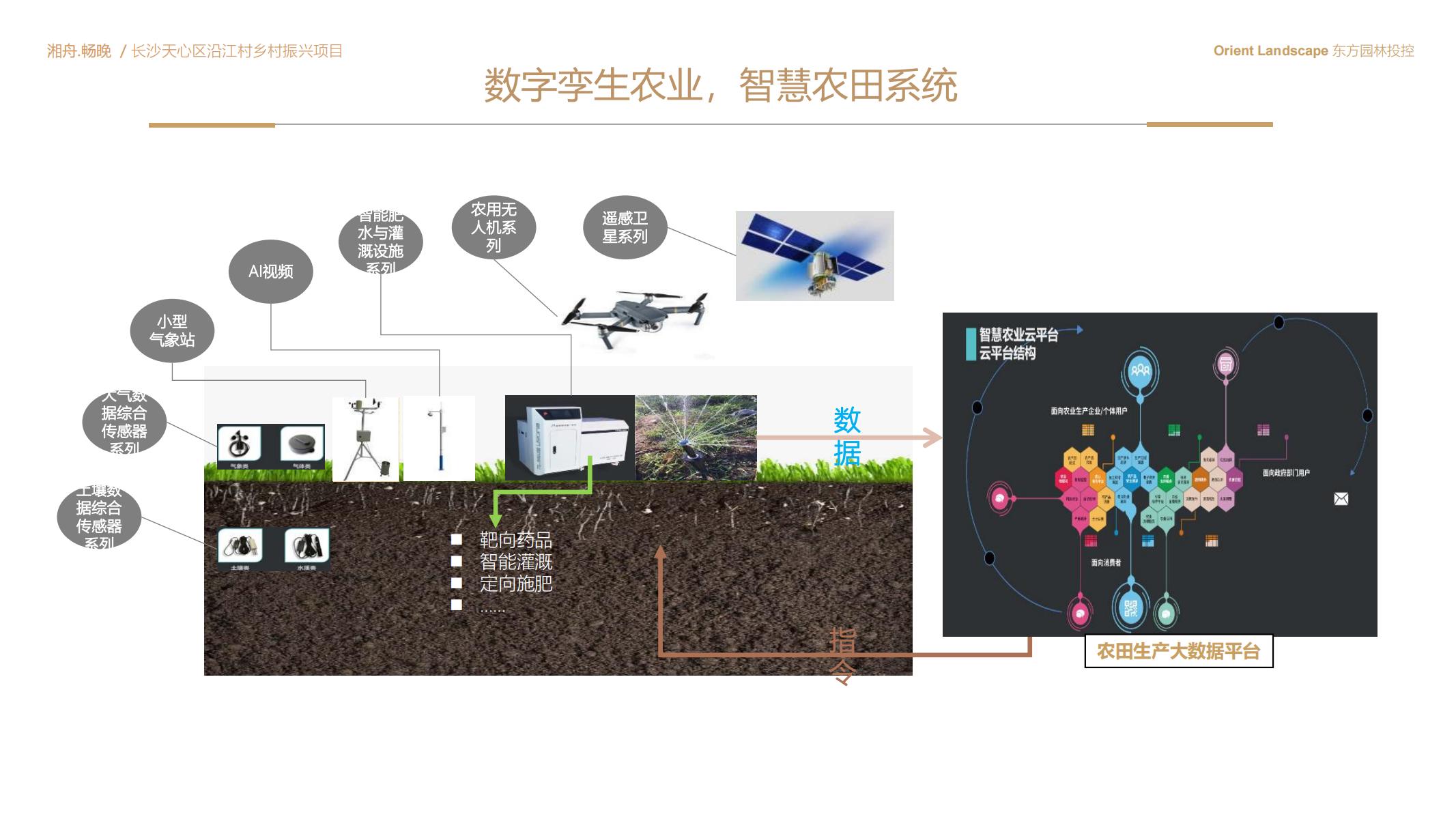 图片[34]-长沙天心区乡村振兴运营策划方案文本 - 由甫网-由甫网
