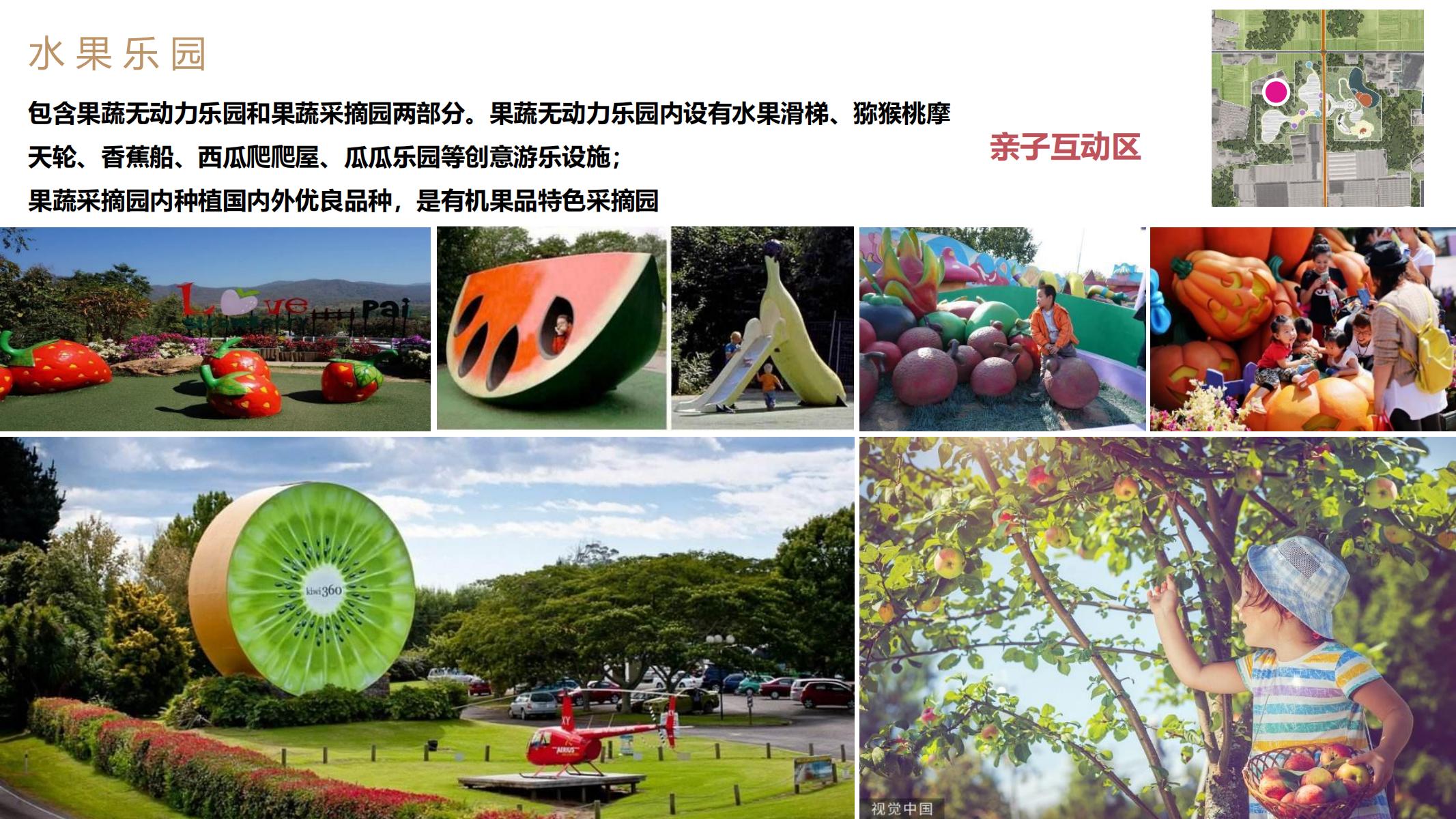 图片[47]-长沙天心区乡村振兴运营策划方案文本 - 由甫网-由甫网