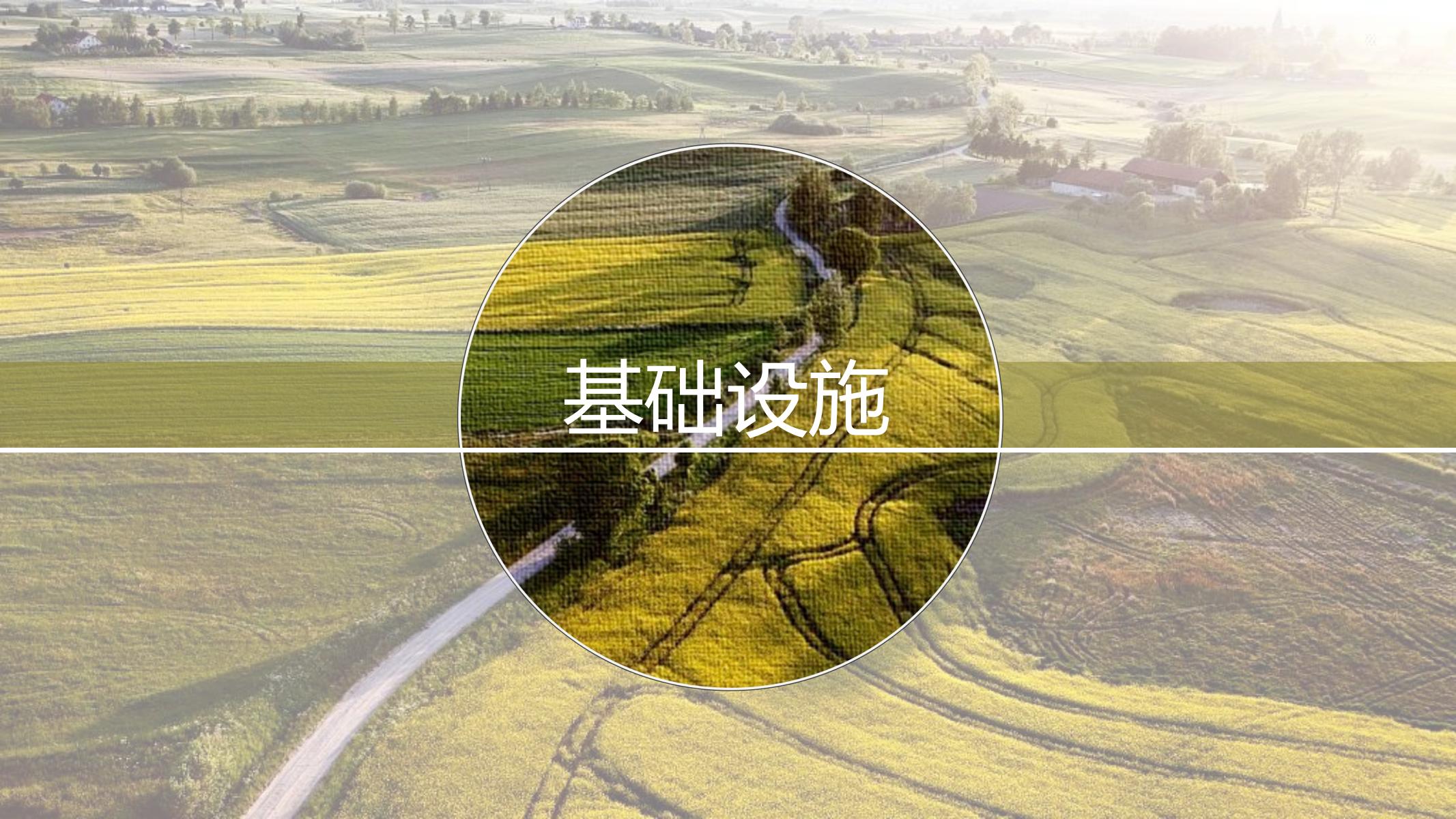 图片[50]-长沙天心区乡村振兴运营策划方案文本 - 由甫网-由甫网