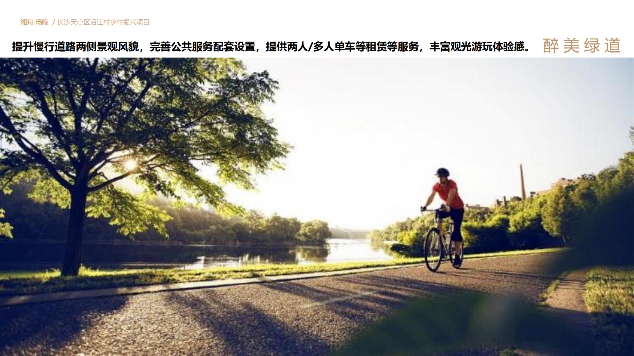图片[53]-长沙天心区乡村振兴运营策划方案文本 - 由甫网-由甫网