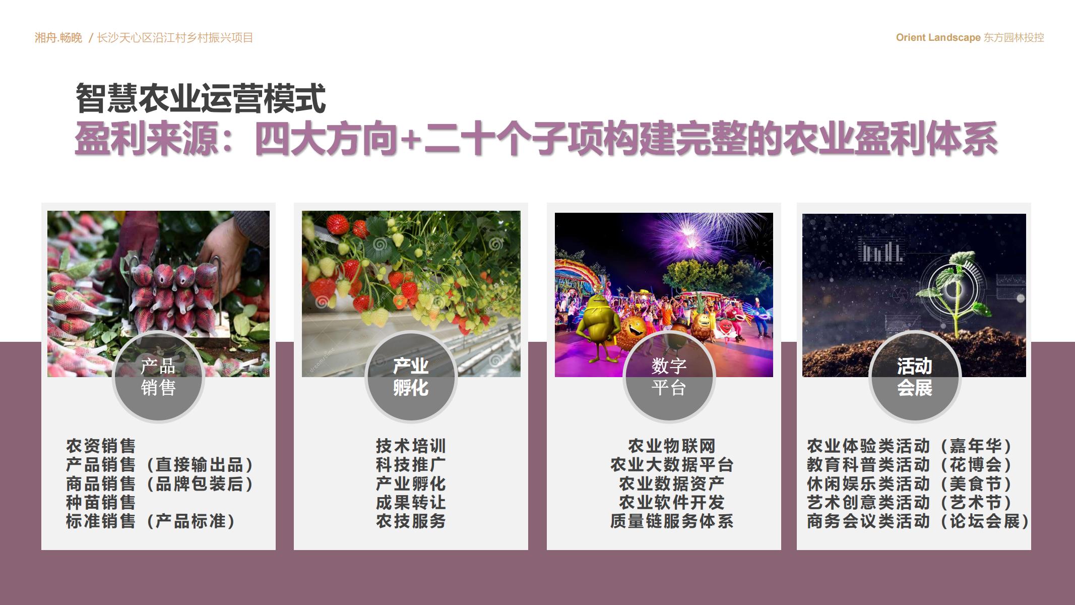 图片[61]-长沙天心区乡村振兴运营策划方案文本 - 由甫网-由甫网