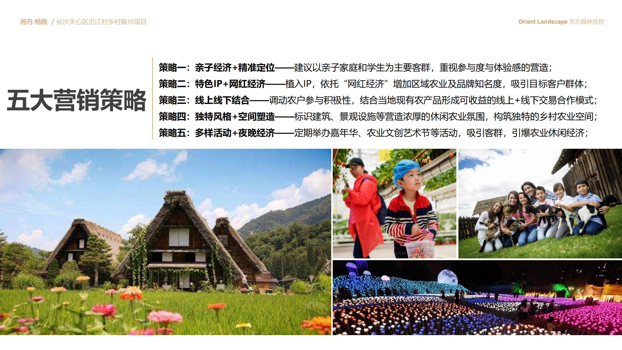图片[66]-长沙天心区乡村振兴运营策划方案文本 - 由甫网-由甫网