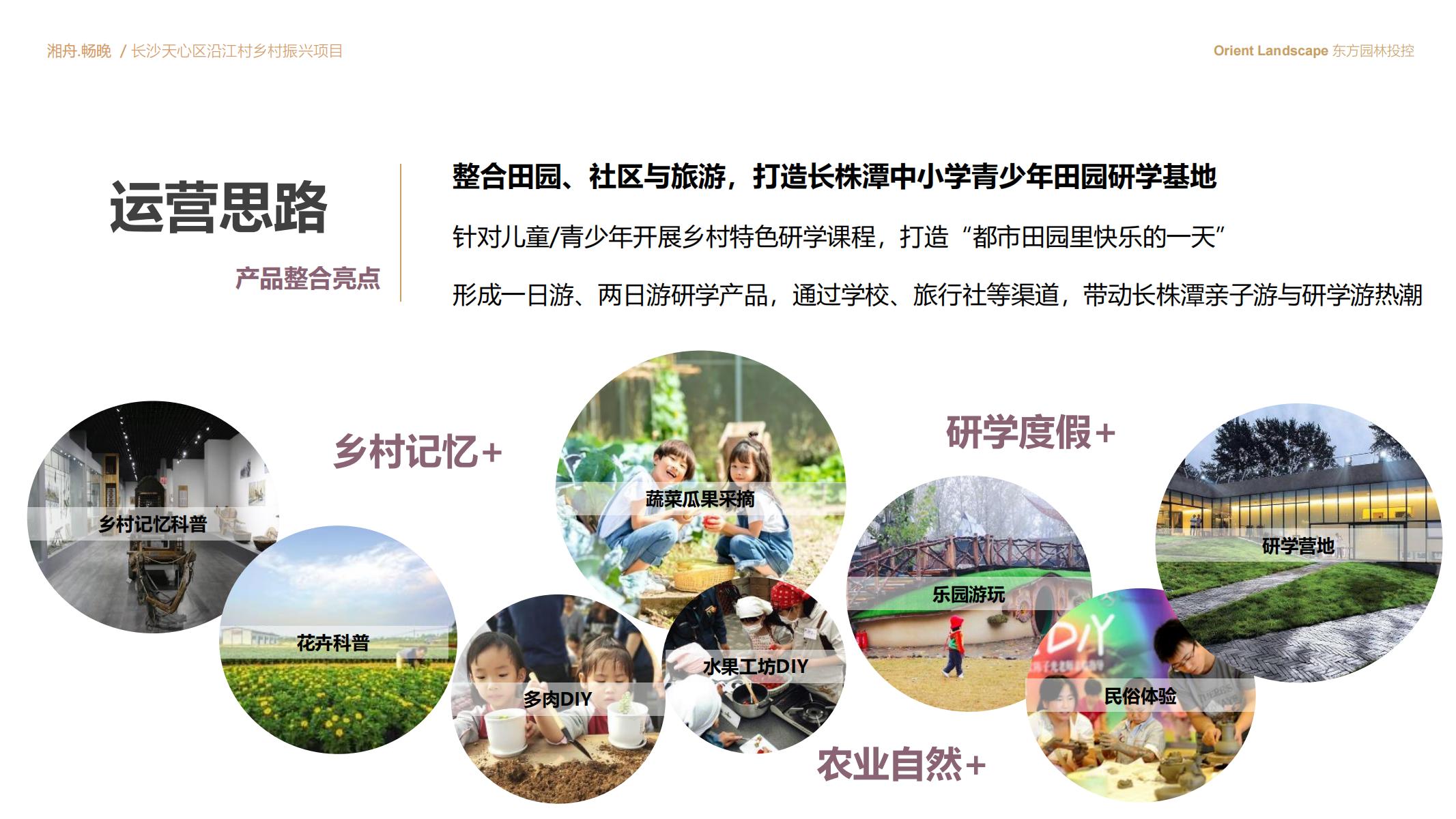 图片[72]-长沙天心区乡村振兴运营策划方案文本 - 由甫网-由甫网