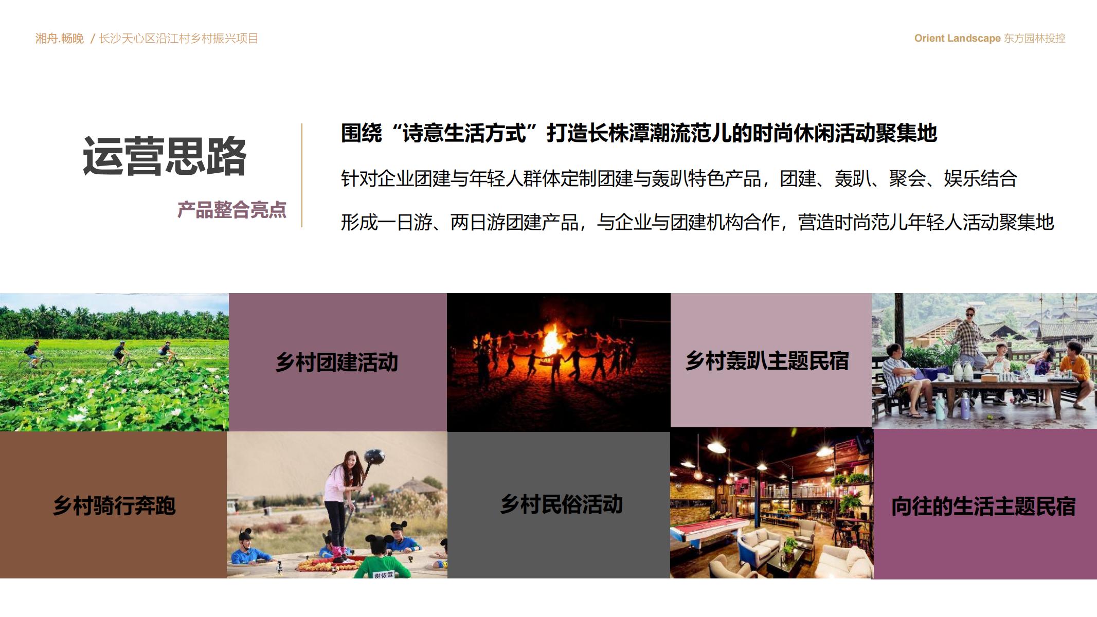 图片[73]-长沙天心区乡村振兴运营策划方案文本 - 由甫网-由甫网