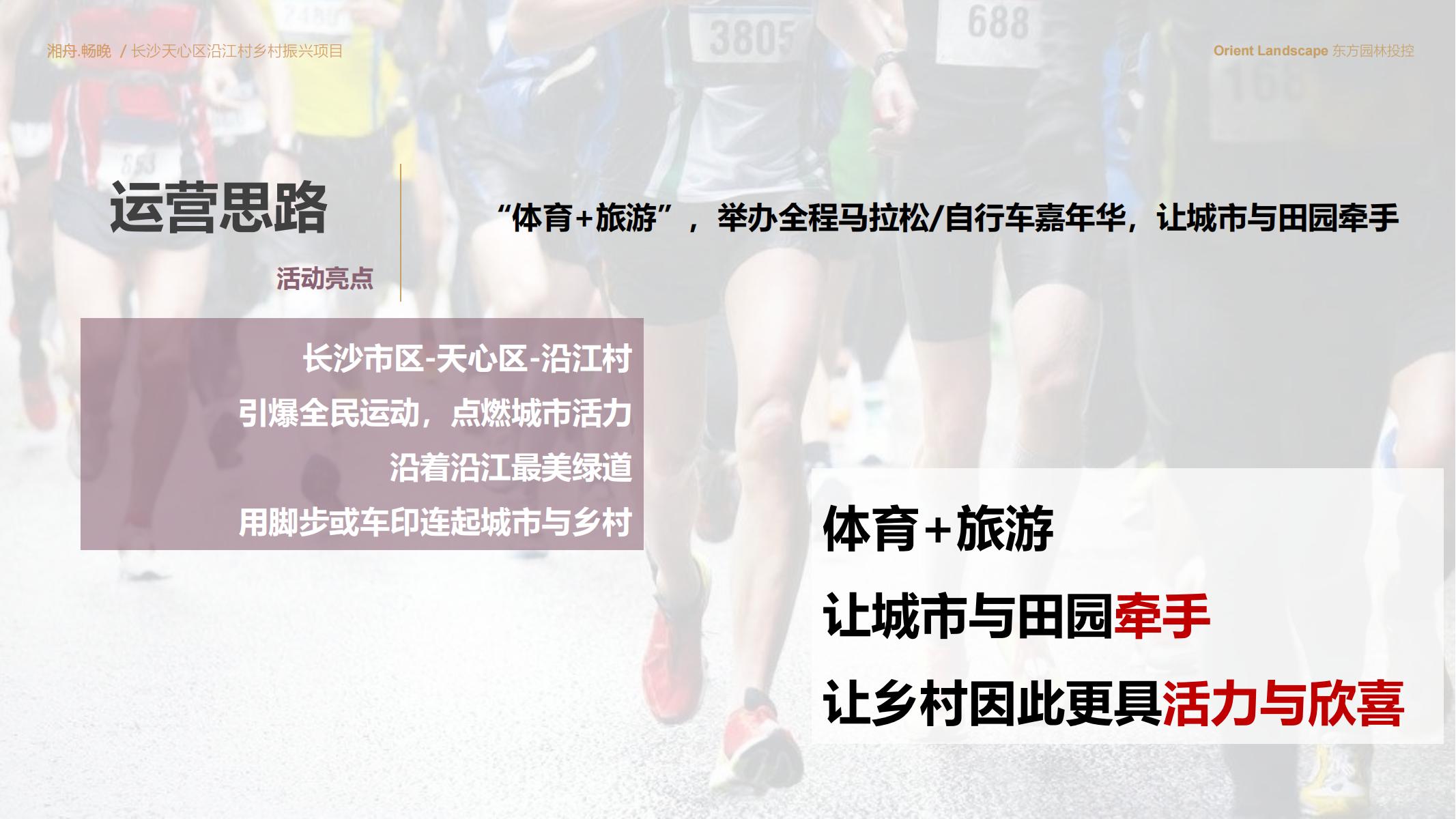 图片[75]-长沙天心区乡村振兴运营策划方案文本 - 由甫网-由甫网