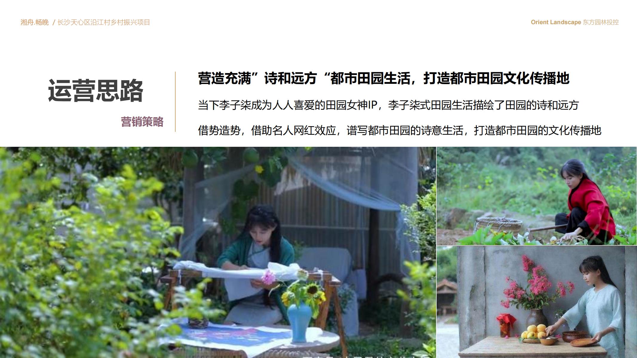 图片[76]-长沙天心区乡村振兴运营策划方案文本 - 由甫网-由甫网