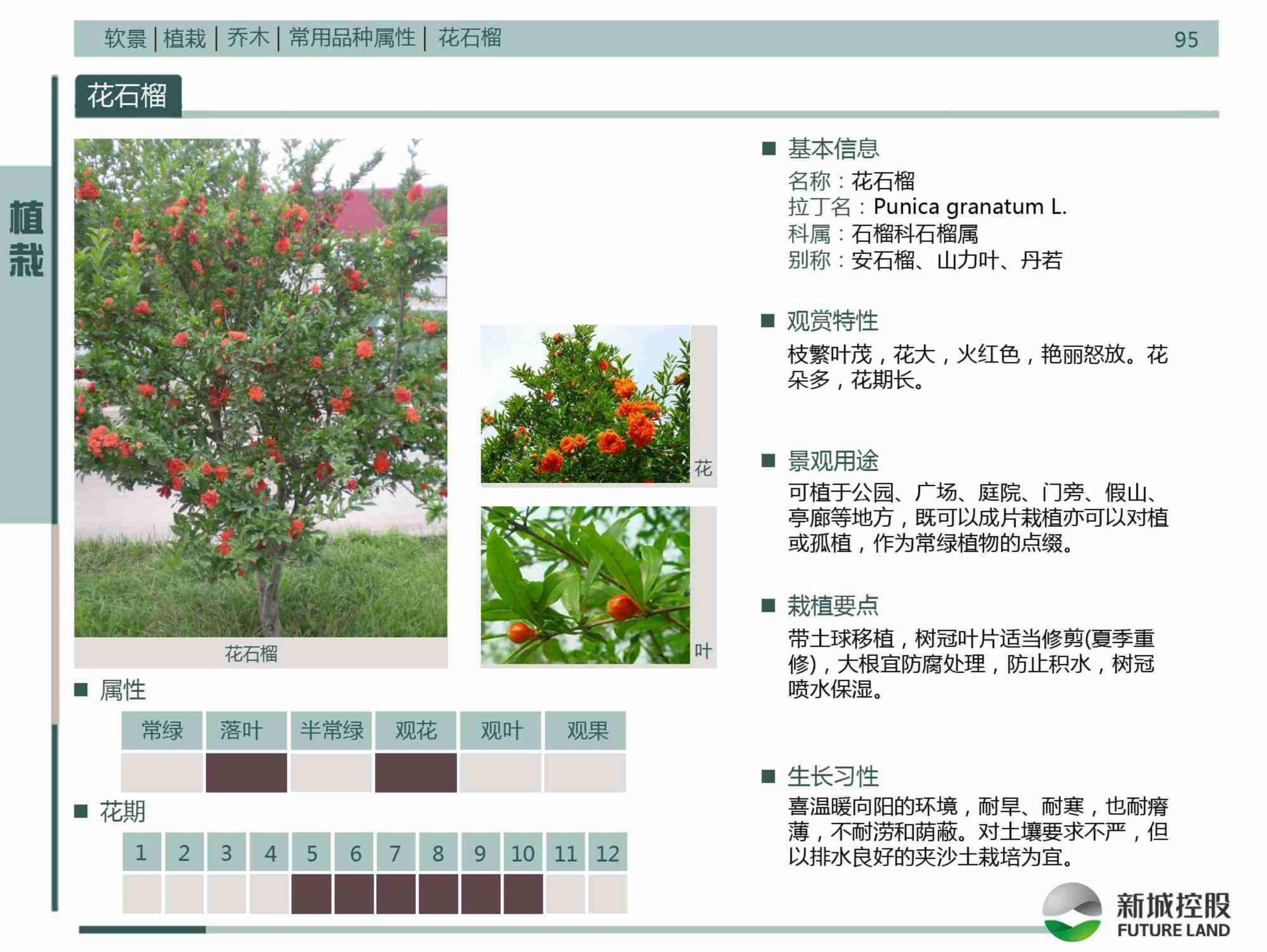 图片[101]-新城控股集团——标准工艺工法图集景观标准化构造节点 - 由甫网-由甫网