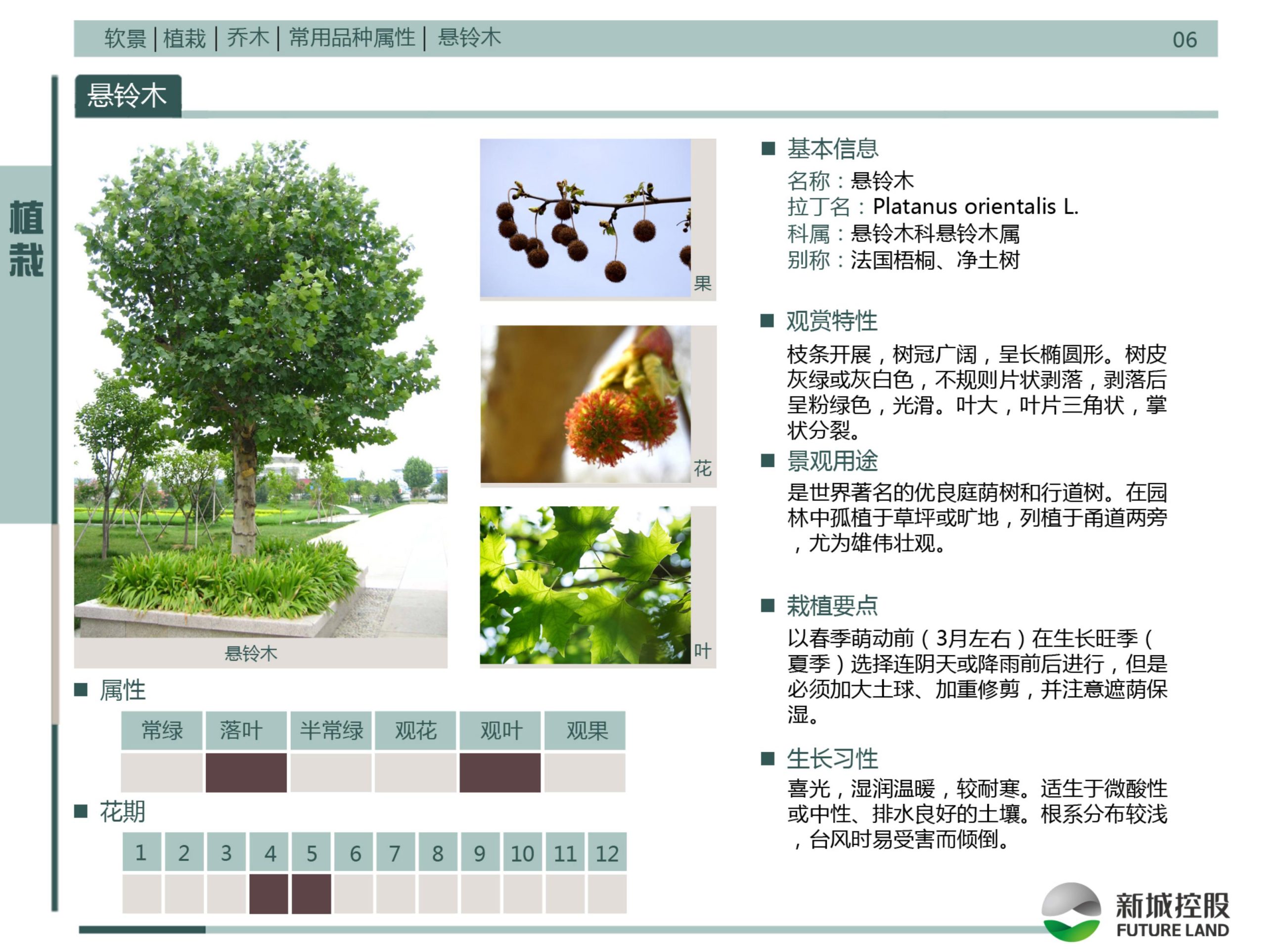 图片[152]-新城控股集团——标准工艺工法图集景观标准化构造节点 - 由甫网-由甫网
