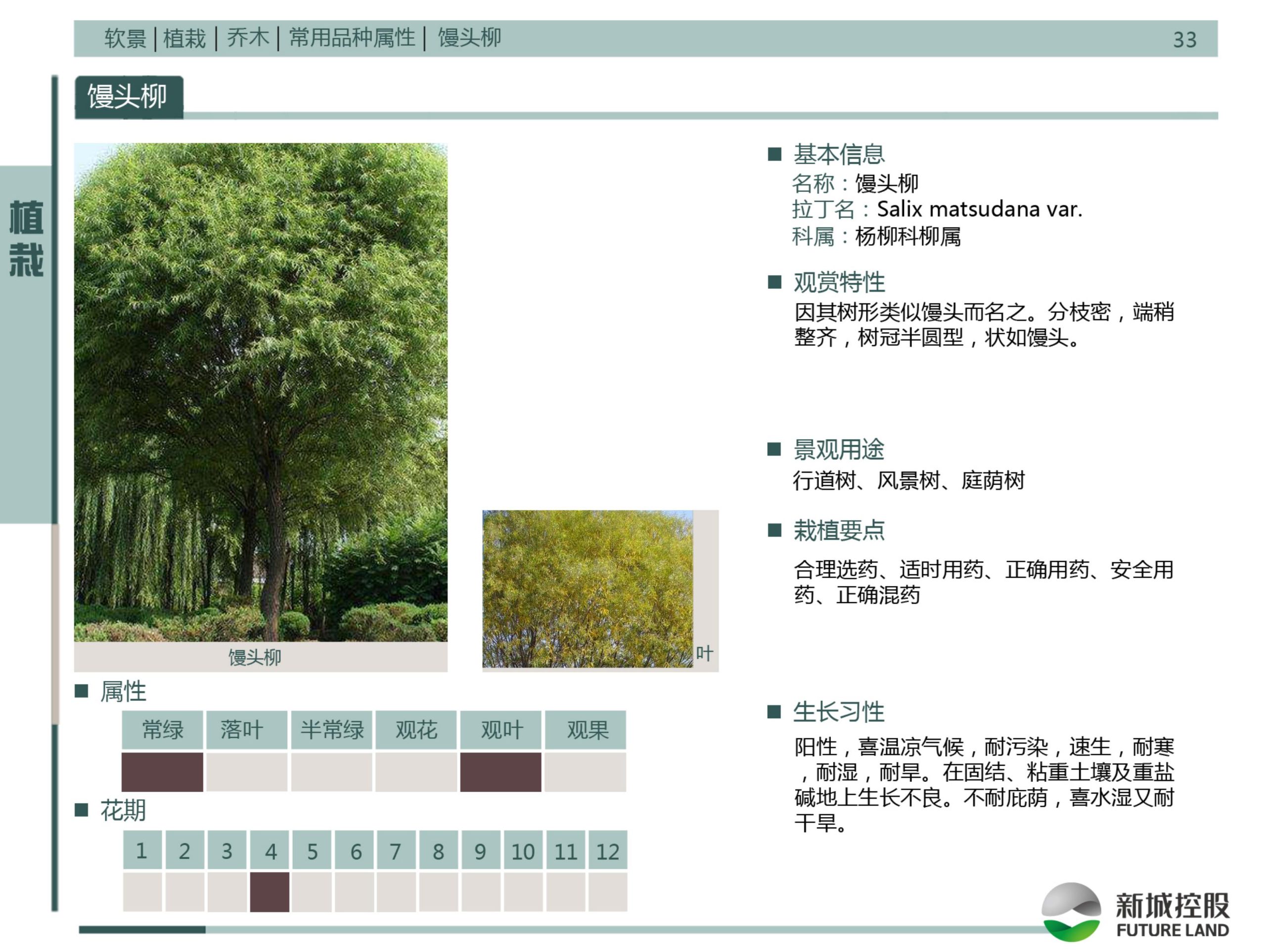图片[179]-新城控股集团——标准工艺工法图集景观标准化构造节点 - 由甫网-由甫网