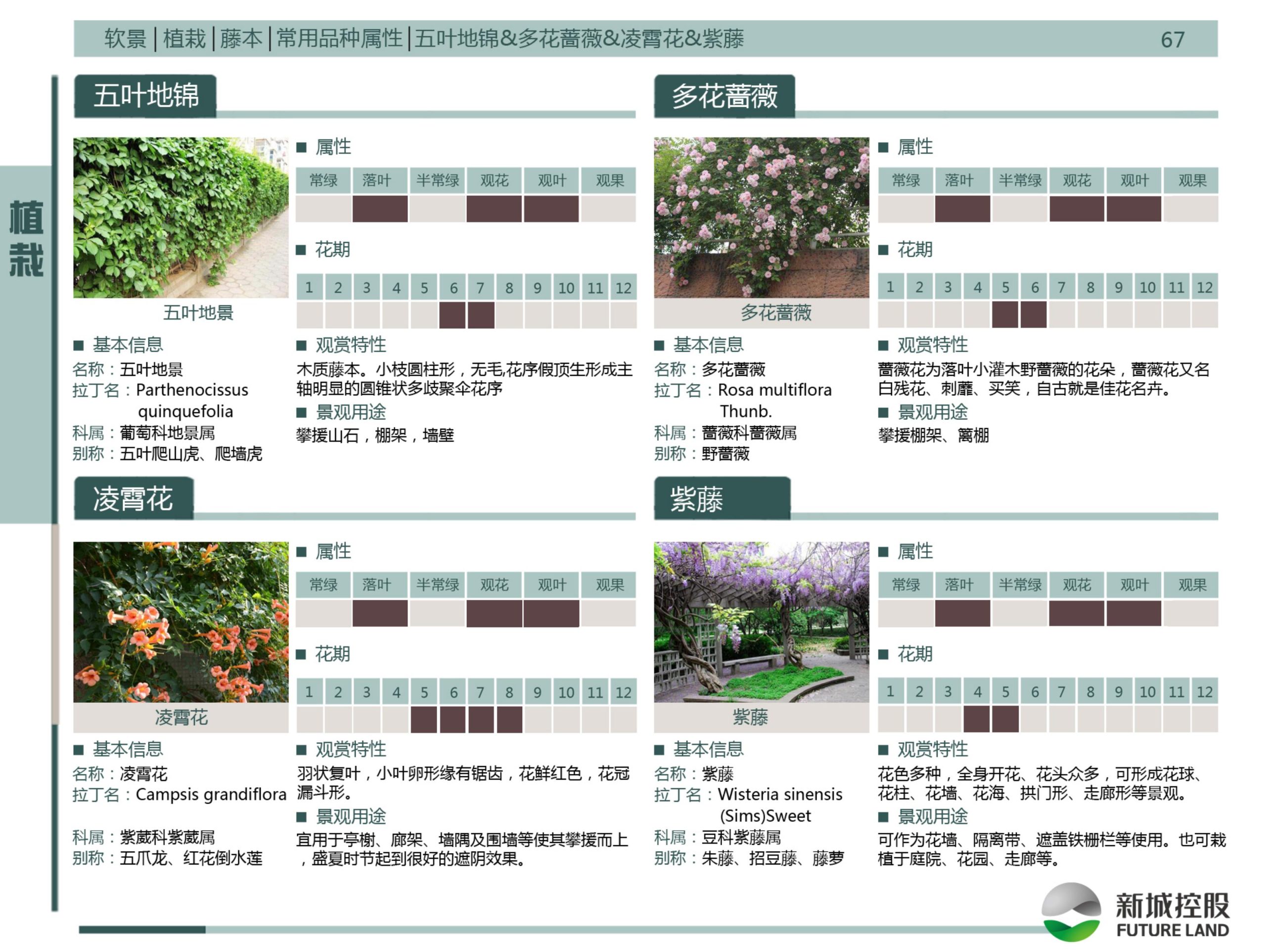 图片[213]-新城控股集团——标准工艺工法图集景观标准化构造节点 - 由甫网-由甫网