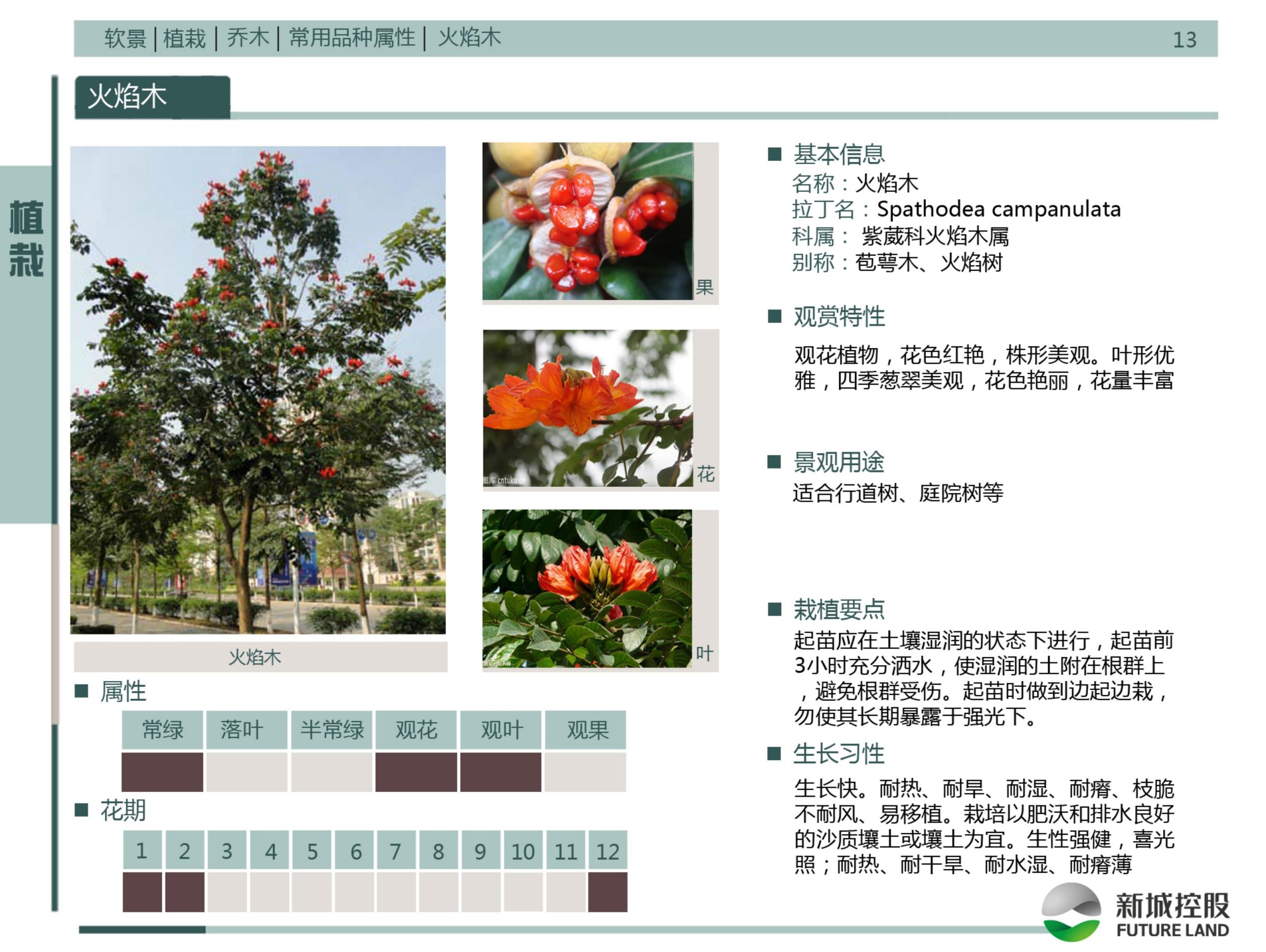 图片[232]-新城控股集团——标准工艺工法图集景观标准化构造节点 - 由甫网-由甫网