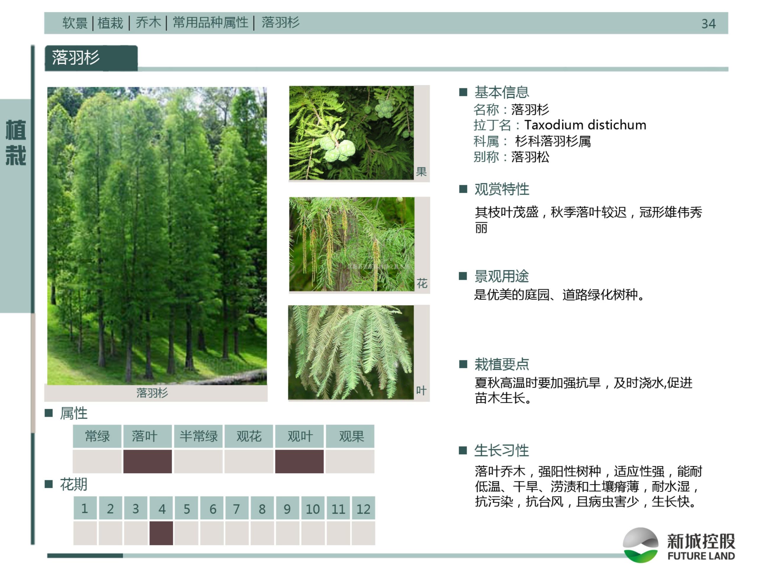 图片[253]-新城控股集团——标准工艺工法图集景观标准化构造节点 - 由甫网-由甫网