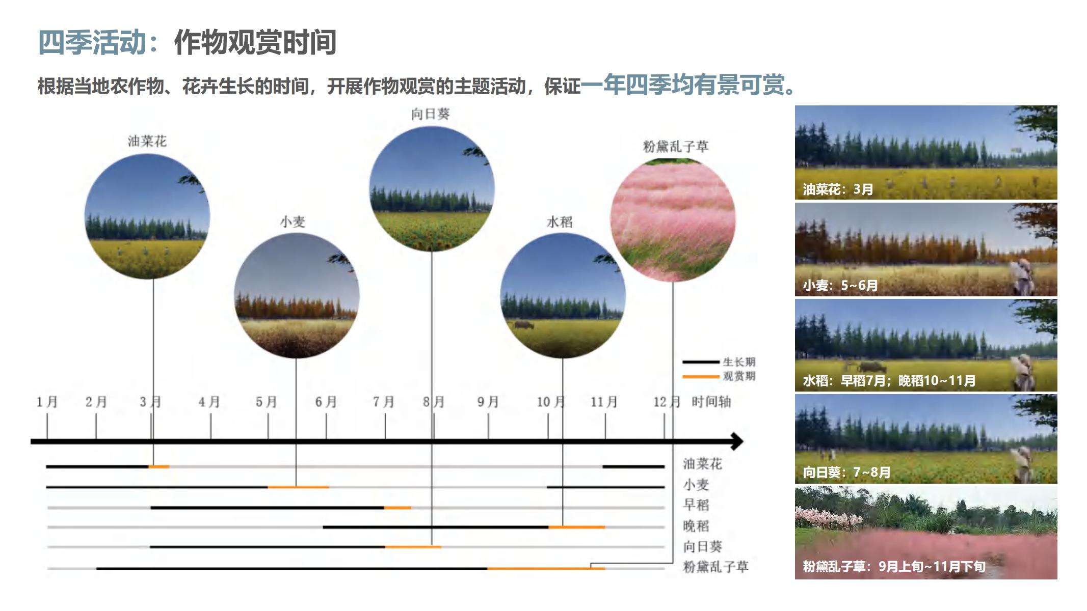 图片[82]-融创西南云镇产品手册二 - 由甫网-由甫网