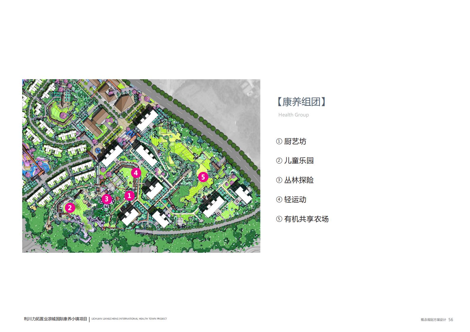 图片[55]-苗族自治州国际康养小镇概念规划设计方案 - 由甫网-由甫网