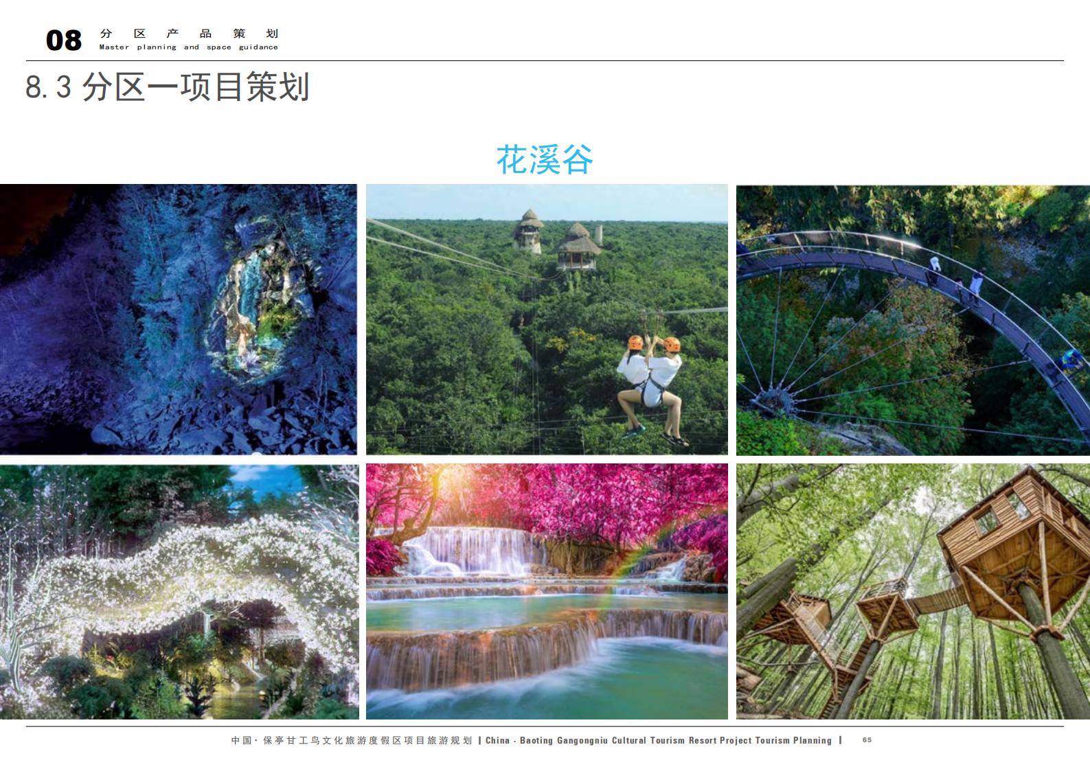 图片[65]-中国·保亭甘工鸟文化旅游度假区项目旅游规划 - 由甫网-由甫网