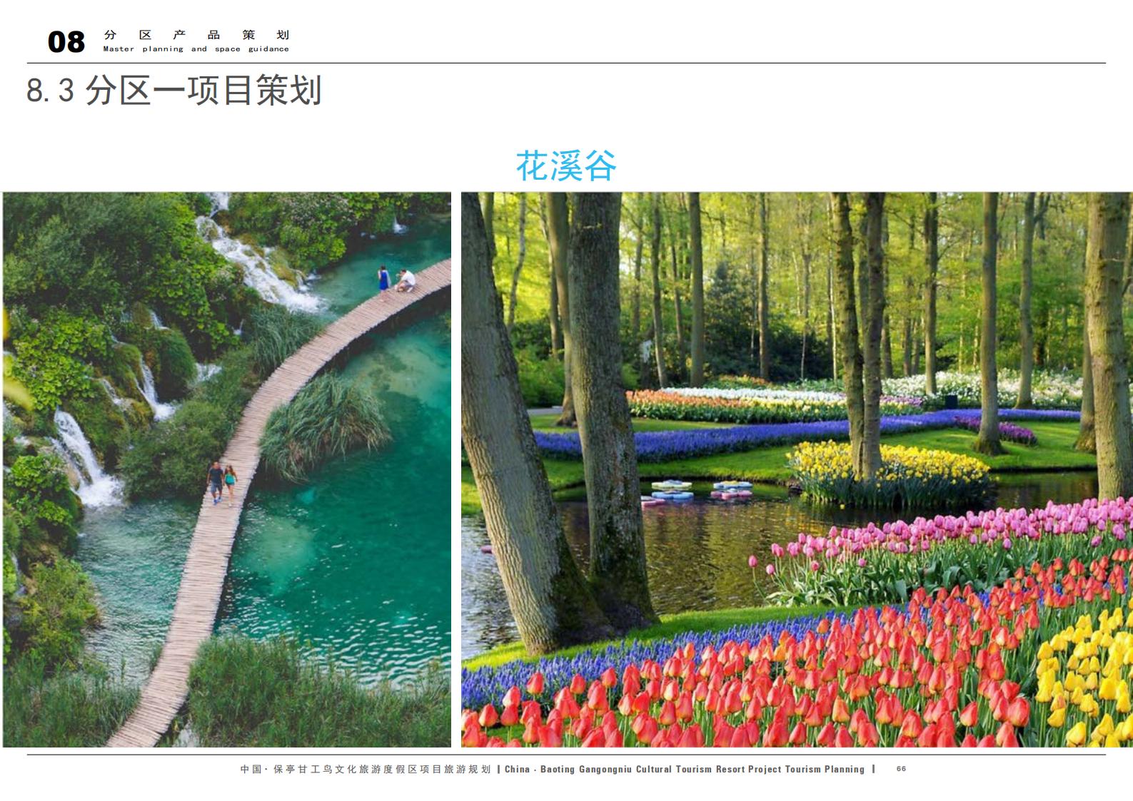 图片[66]-中国·保亭甘工鸟文化旅游度假区项目旅游规划 - 由甫网-由甫网