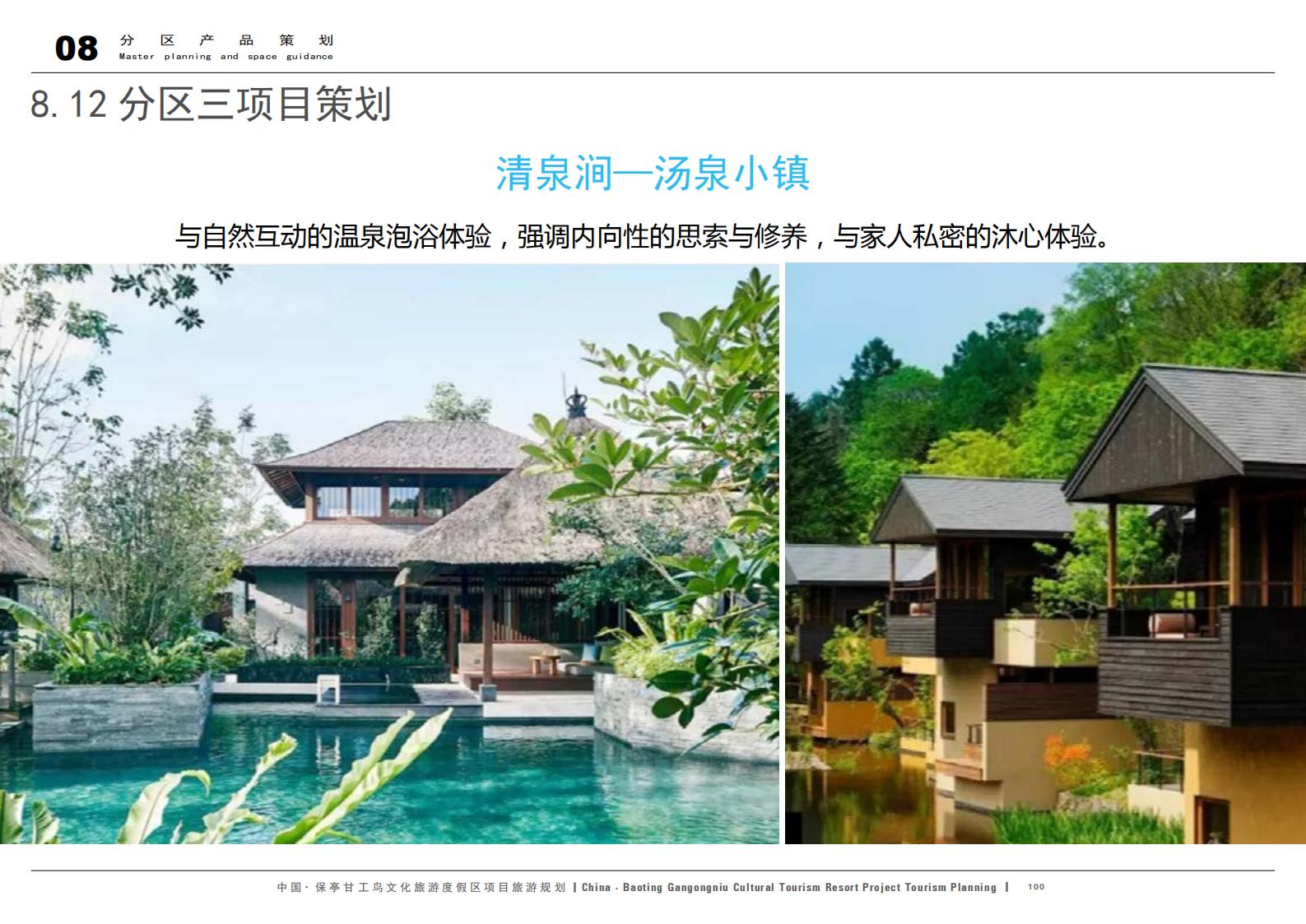 图片[100]-中国·保亭甘工鸟文化旅游度假区项目旅游规划 - 由甫网-由甫网