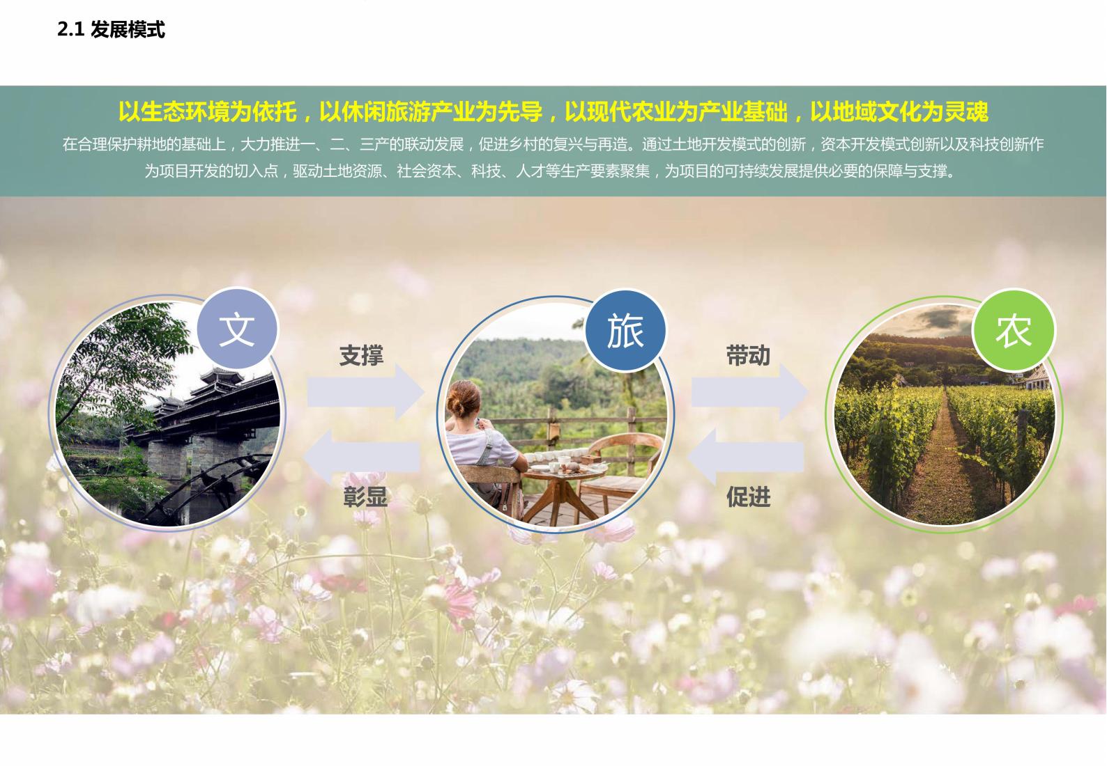 图片[16]-广西水岸田园小镇项目规划方案 - 由甫网-由甫网