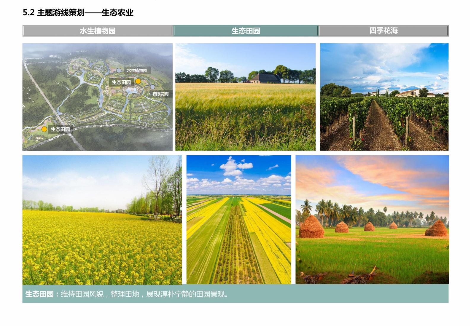 图片[78]-广西水岸田园小镇项目规划方案 - 由甫网-由甫网