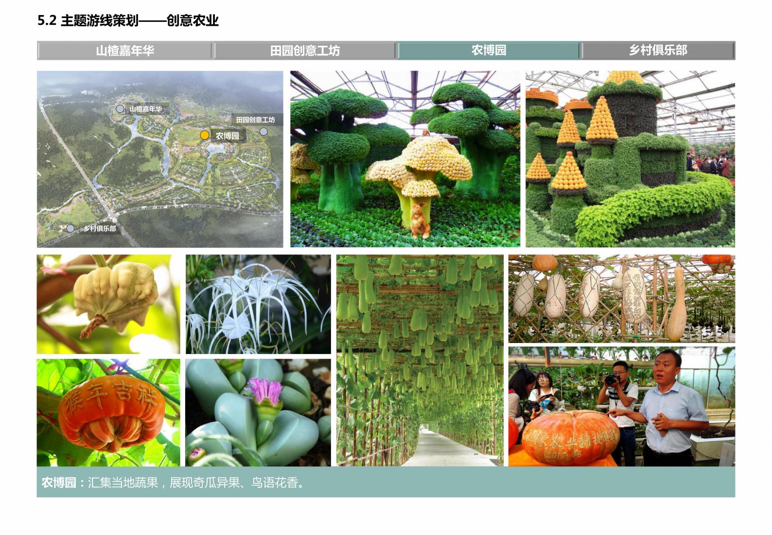 图片[82]-广西水岸田园小镇项目规划方案 - 由甫网-由甫网