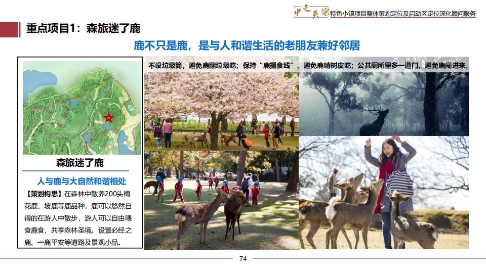 图片[74]-广东中交英德特色小镇概念策划 - 由甫网-由甫网