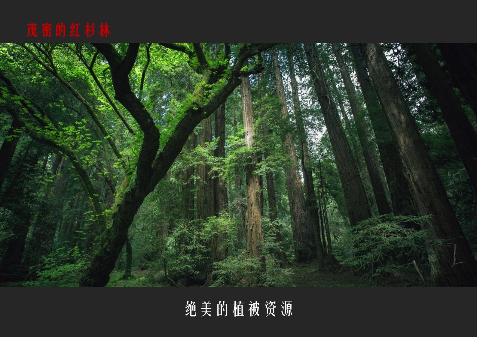 图片[18]-肇庆·宋隆小镇概念规划与方案设计 - 由甫网-由甫网