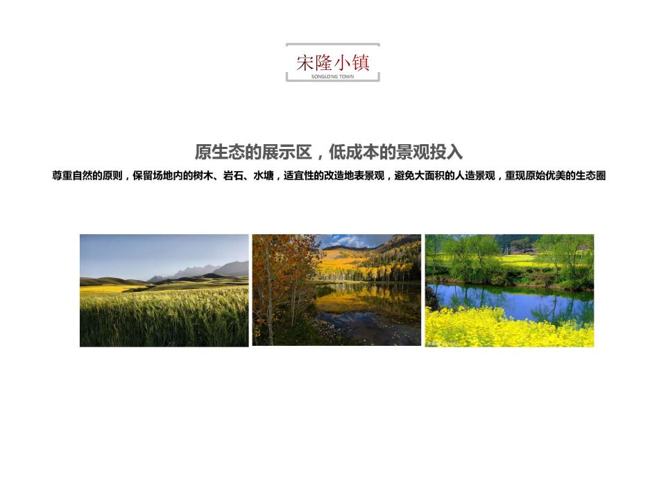 图片[51]-肇庆宋隆小镇项目投标 - 由甫网-由甫网