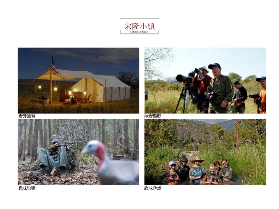 图片[55]-肇庆宋隆小镇项目投标 - 由甫网-由甫网