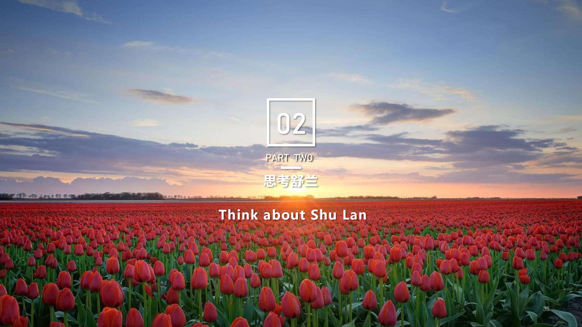 图片[35]-吉林舒兰市全域旅游总体规划 - 由甫网-由甫网