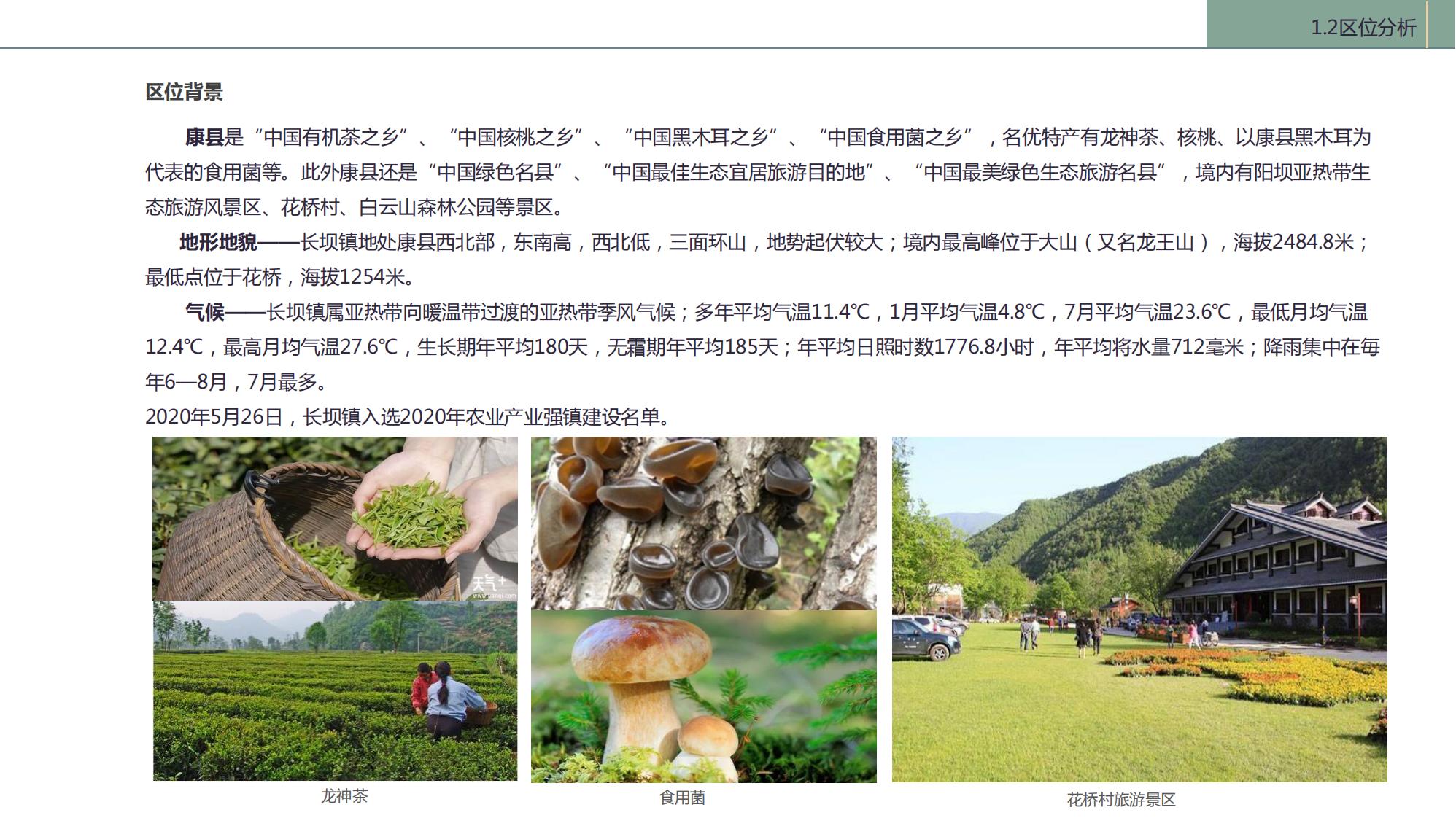 图片[6]-陇南康县民宿花海农场乡村文旅项目方案文本 - 由甫网-由甫网