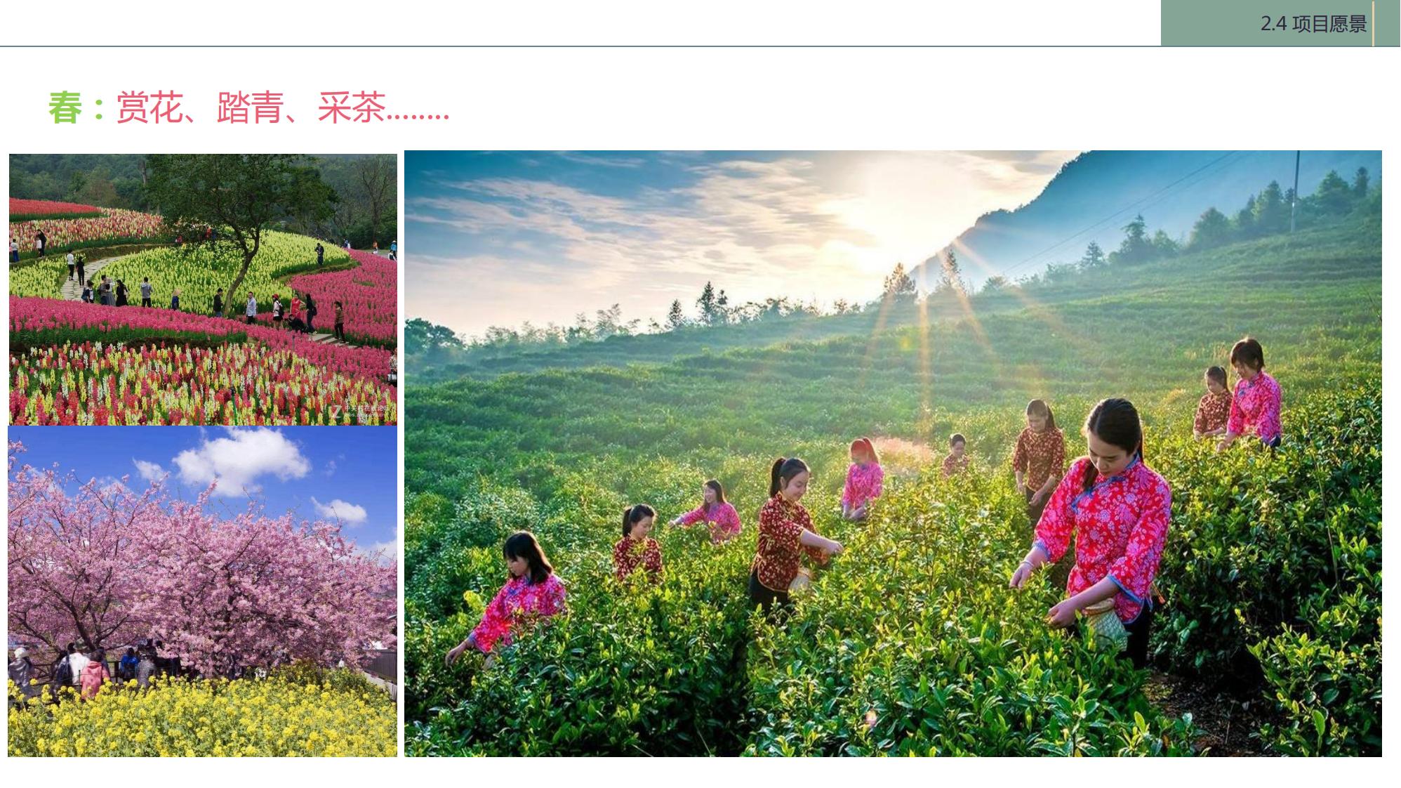 图片[20]-陇南康县民宿花海农场乡村文旅项目方案文本 - 由甫网-由甫网