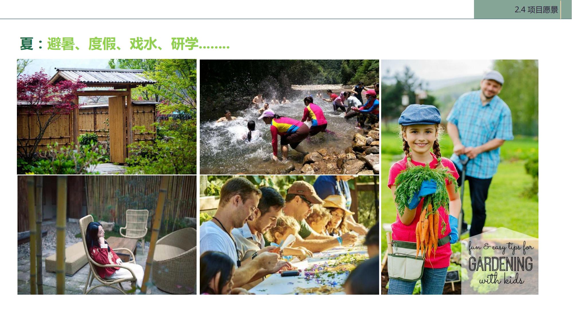 图片[21]-陇南康县民宿花海农场乡村文旅项目方案文本 - 由甫网-由甫网