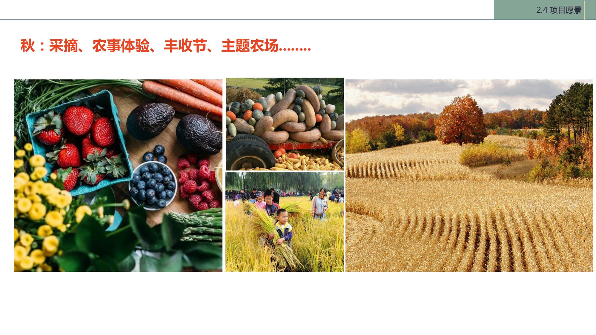 图片[22]-陇南康县民宿花海农场乡村文旅项目方案文本 - 由甫网-由甫网