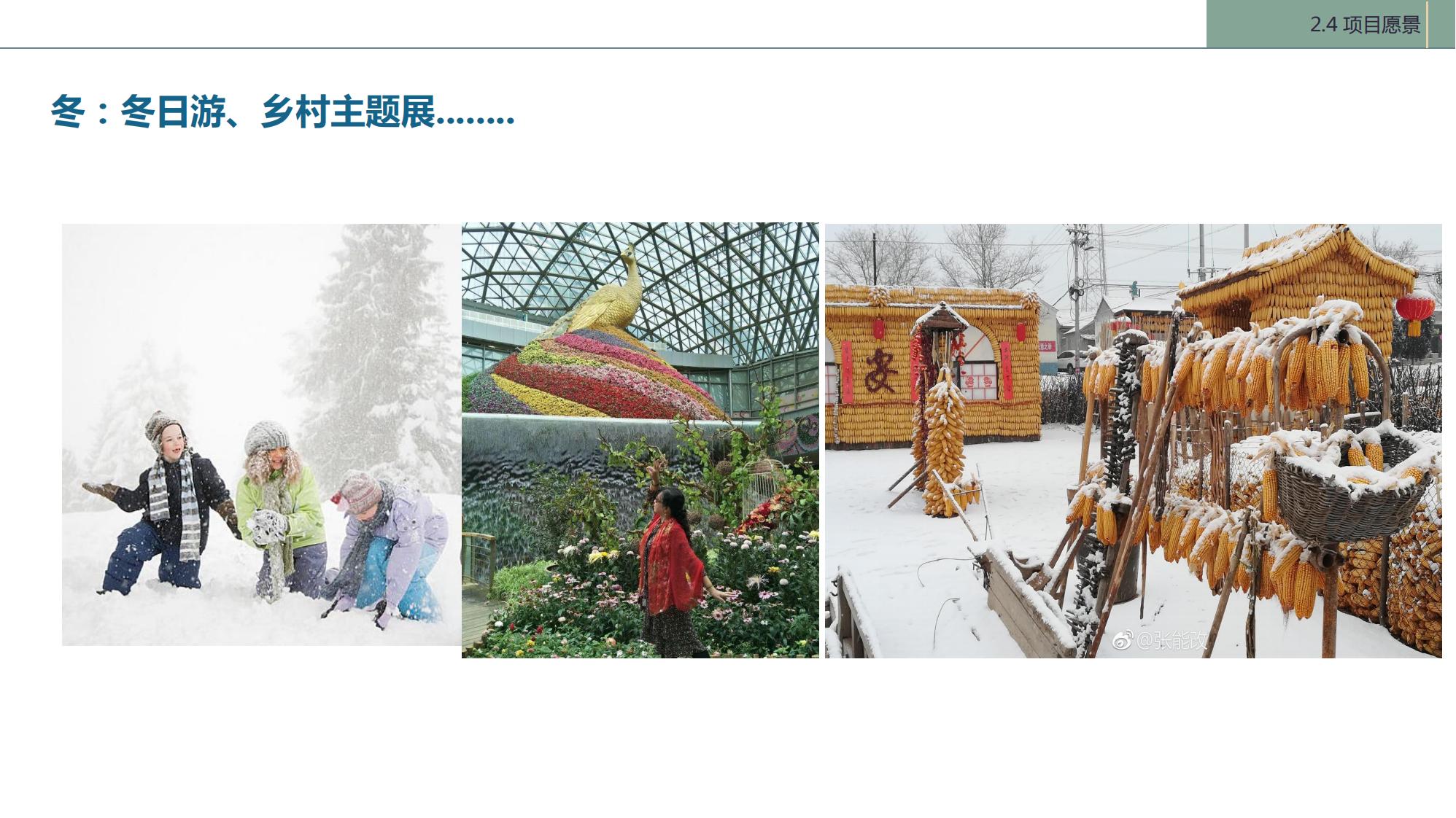 图片[23]-陇南康县民宿花海农场乡村文旅项目方案文本 - 由甫网-由甫网