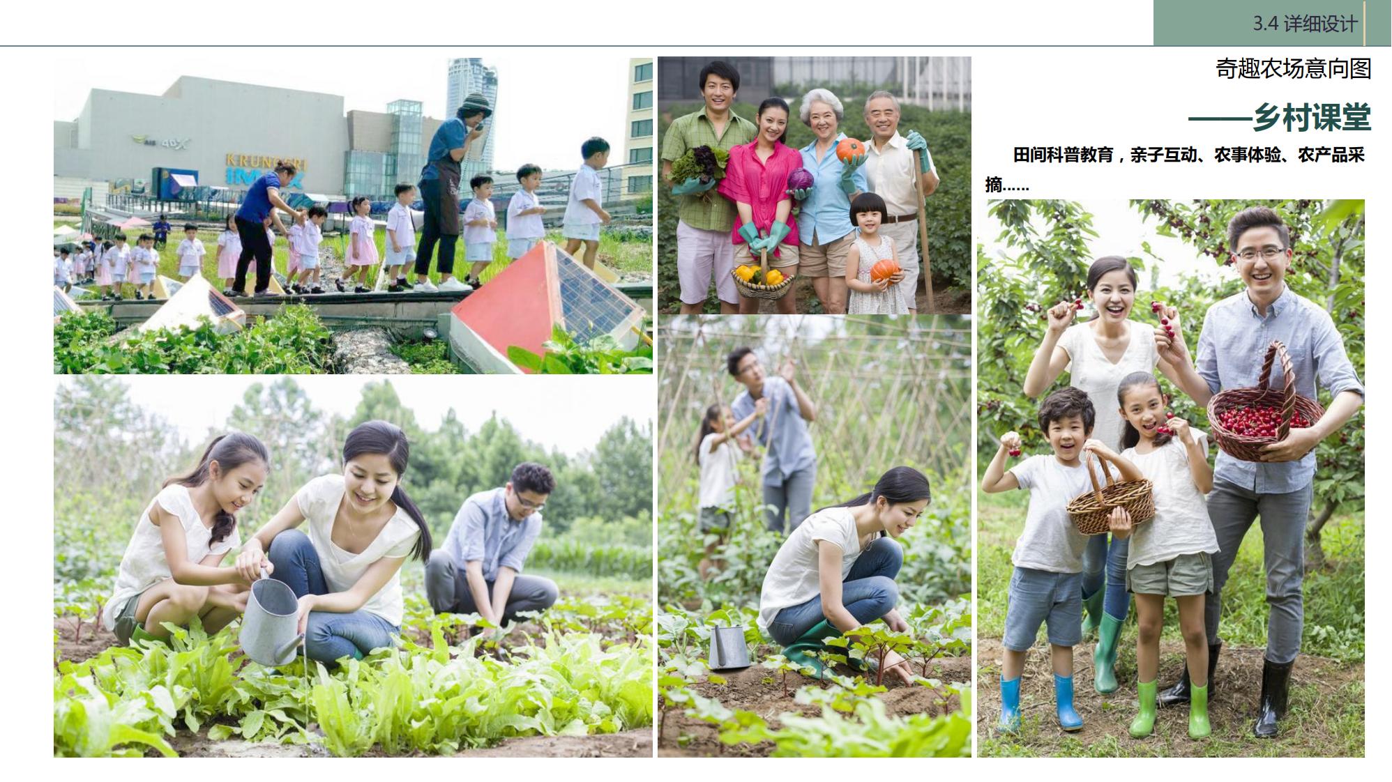 图片[85]-陇南康县民宿花海农场乡村文旅项目方案文本 - 由甫网-由甫网