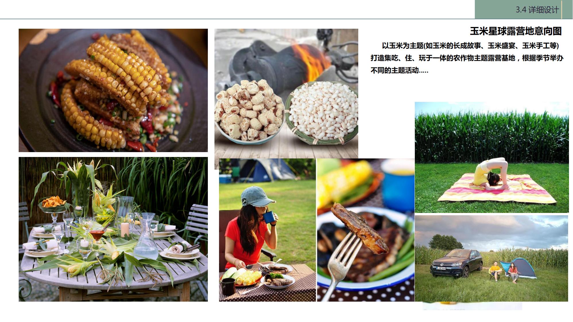 图片[91]-陇南康县民宿花海农场乡村文旅项目方案文本 - 由甫网-由甫网