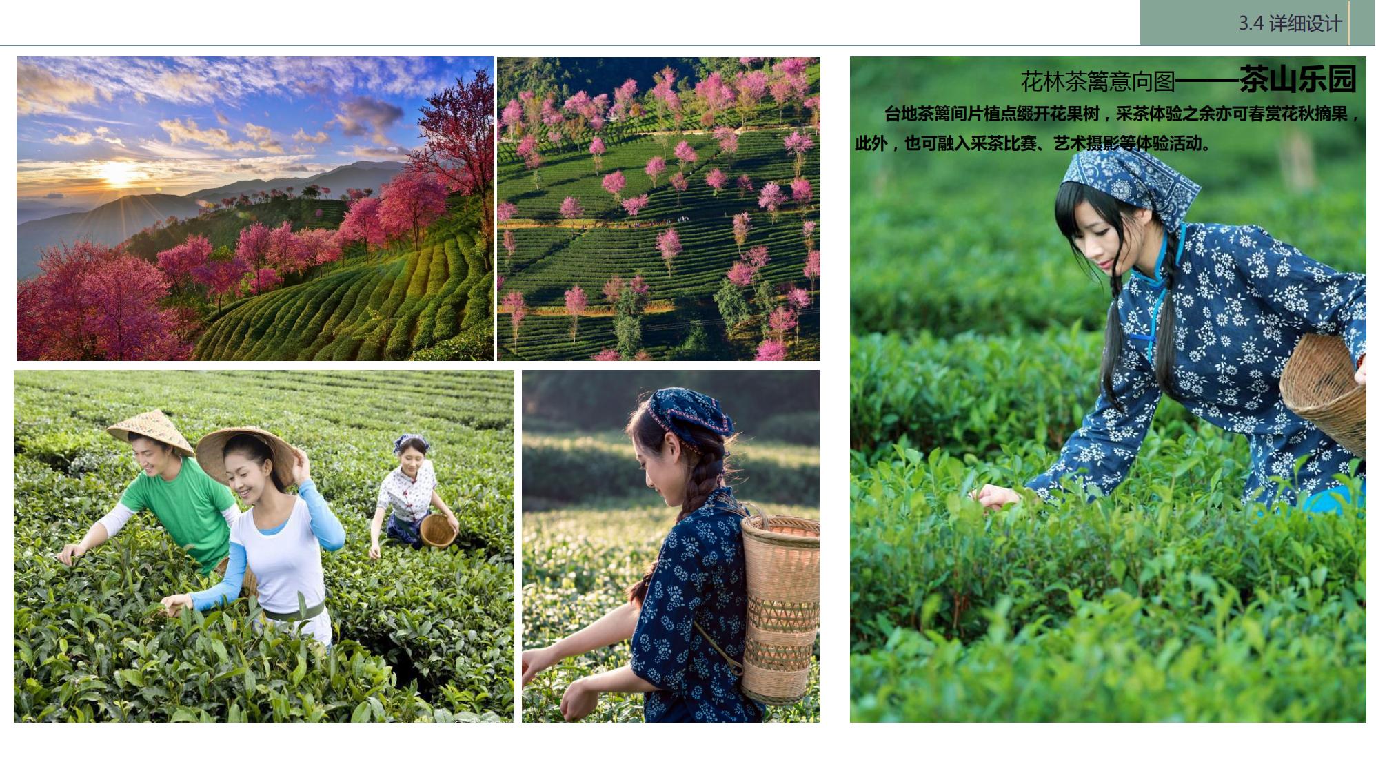 图片[101]-陇南康县民宿花海农场乡村文旅项目方案文本 - 由甫网-由甫网