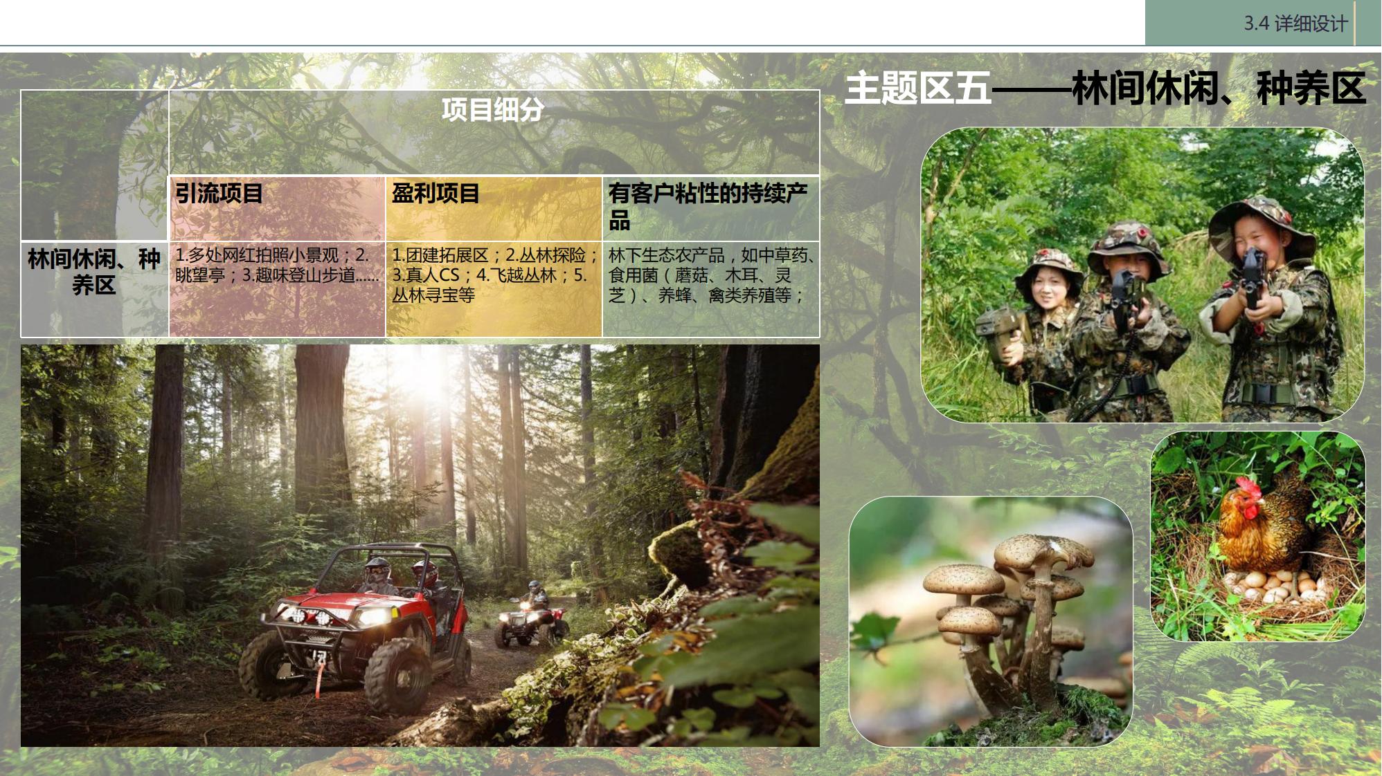 图片[106]-陇南康县民宿花海农场乡村文旅项目方案文本 - 由甫网-由甫网