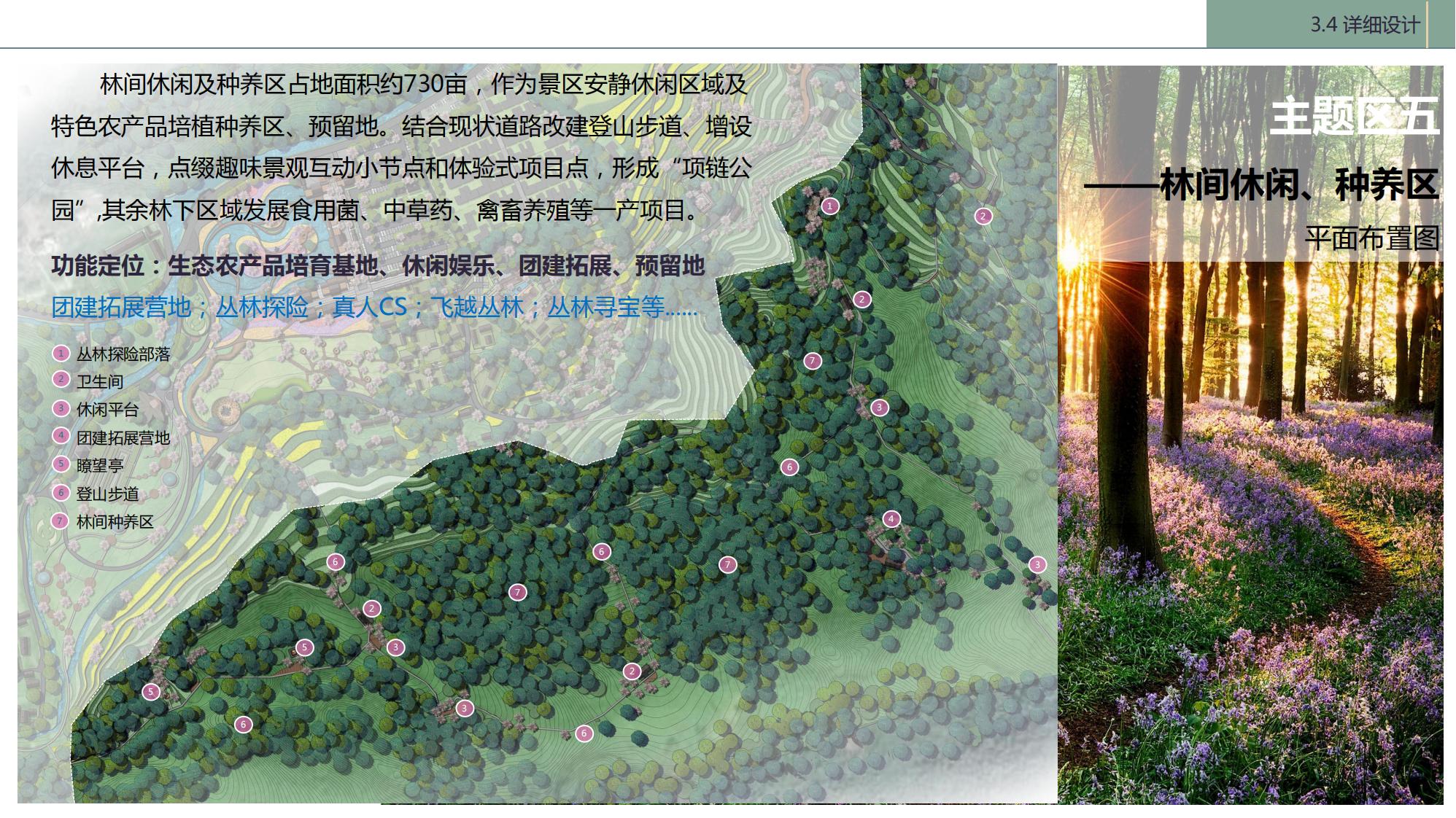 图片[107]-陇南康县民宿花海农场乡村文旅项目方案文本 - 由甫网-由甫网