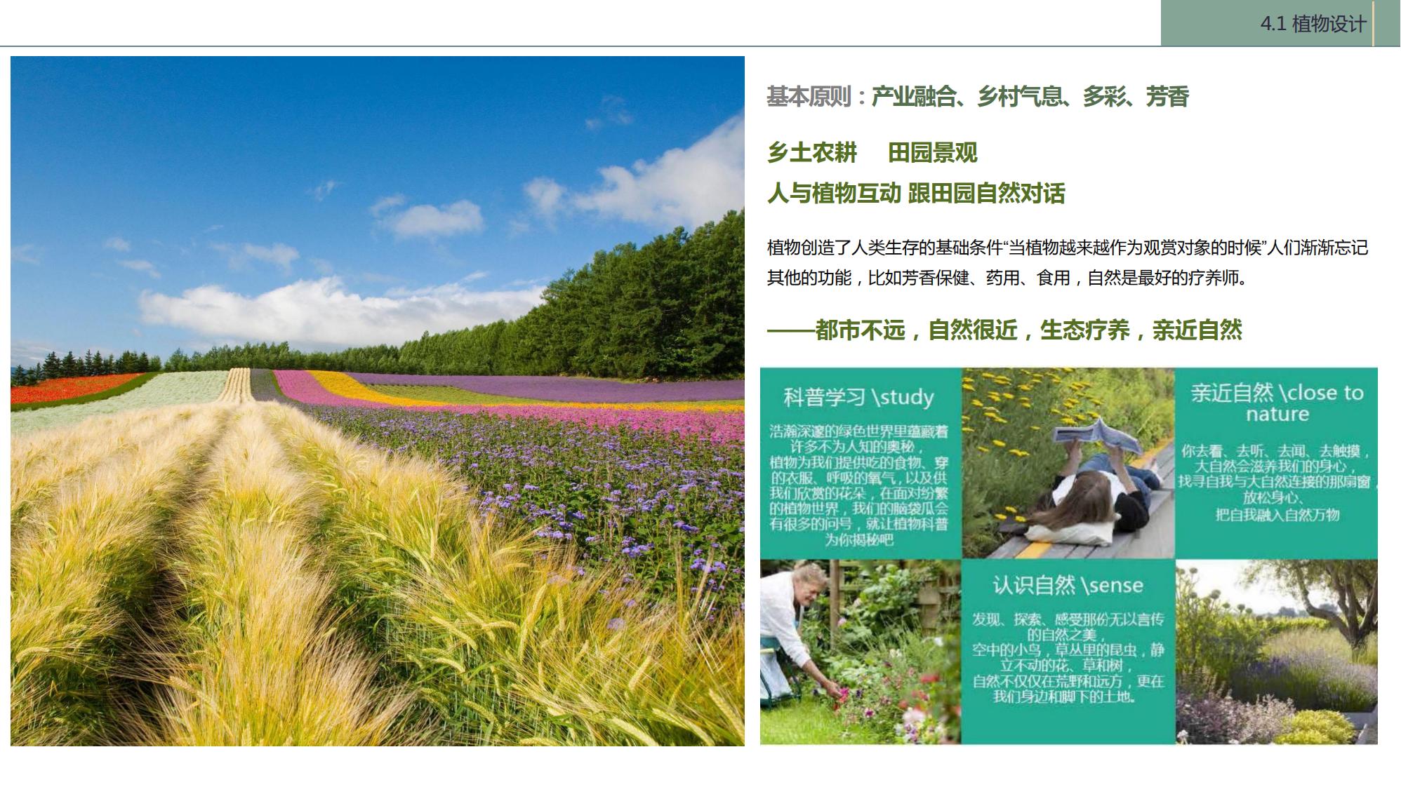 图片[111]-陇南康县民宿花海农场乡村文旅项目方案文本 - 由甫网-由甫网