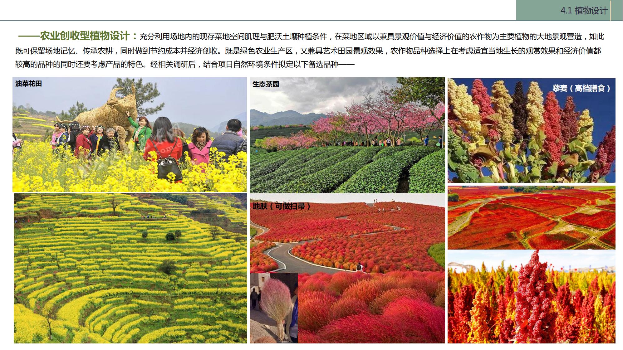 图片[112]-陇南康县民宿花海农场乡村文旅项目方案文本 - 由甫网-由甫网