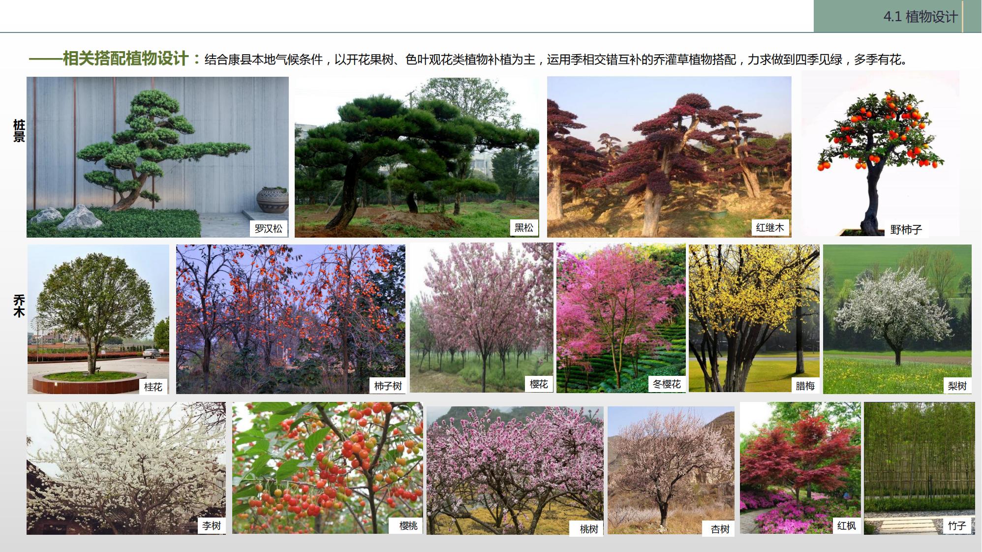 图片[113]-陇南康县民宿花海农场乡村文旅项目方案文本 - 由甫网-由甫网