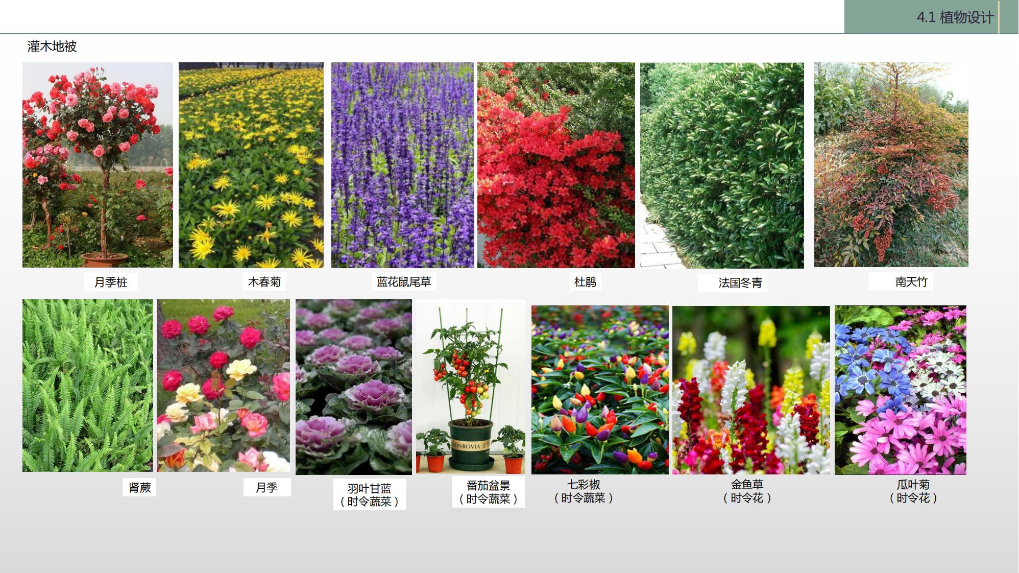 图片[114]-陇南康县民宿花海农场乡村文旅项目方案文本 - 由甫网-由甫网